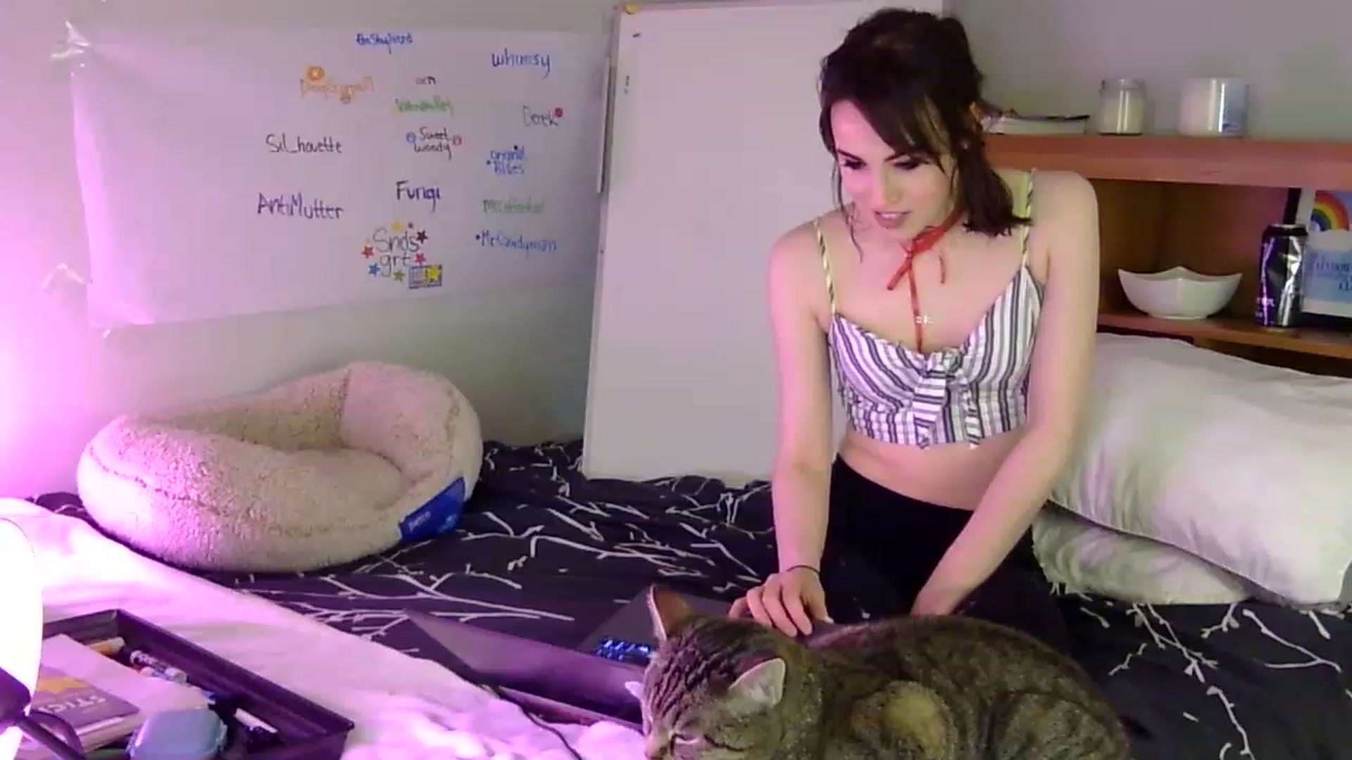 Gallery image thumbnail from antidreamgirl's myfreecams stream on, 06/10/2023, 08:26 image 2 of 20
