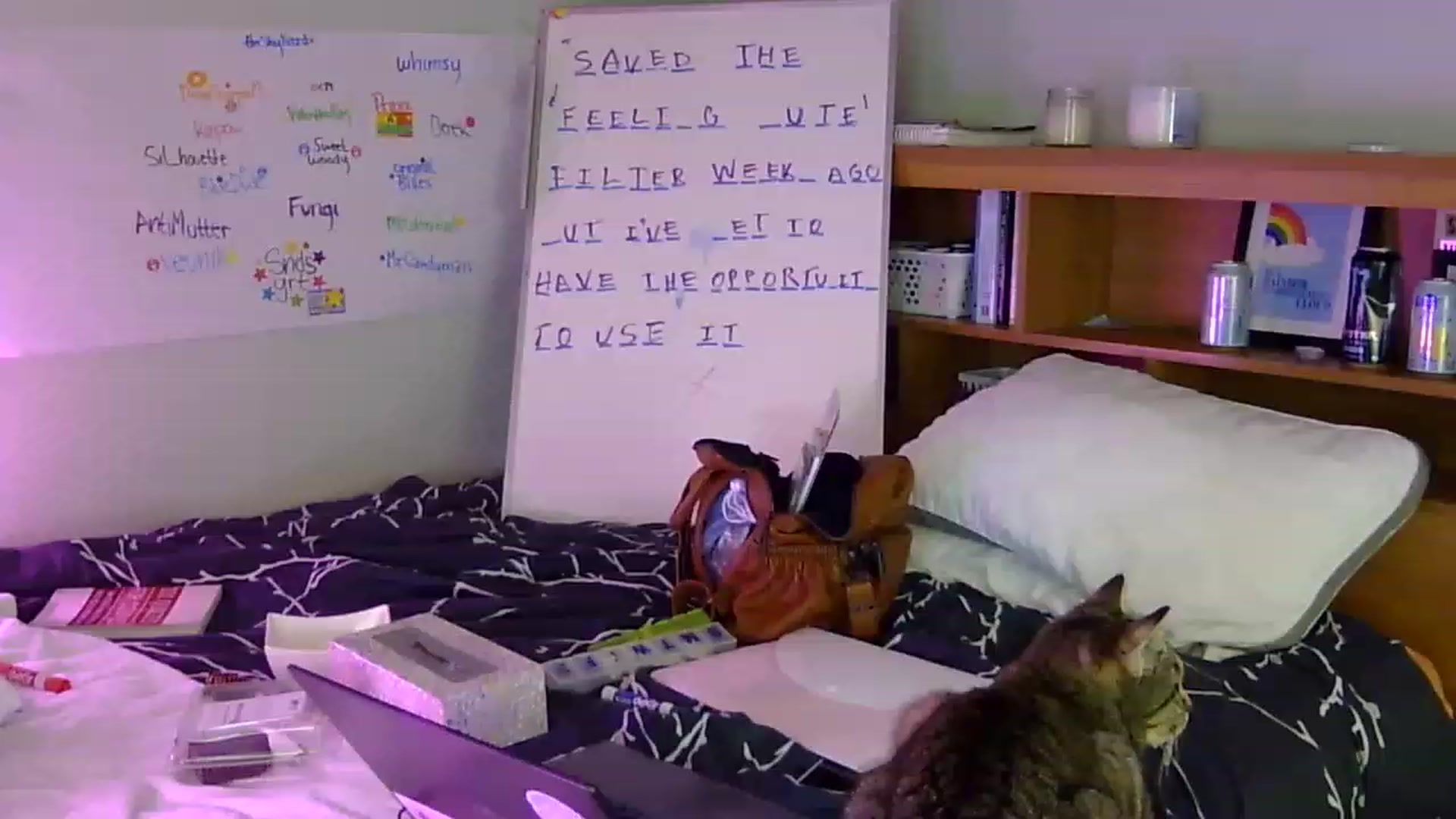 Gallery image thumbnail from antidreamgirl's myfreecams stream on, 06/10/2023, 13:46 image 16 of 20