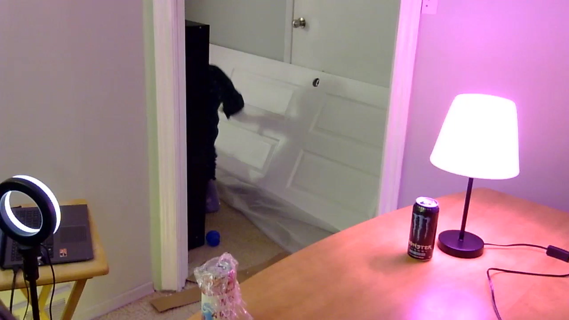 Gallery image thumbnail from antidreamgirl's myfreecams stream on, 07/02/2023, 10:04 image 18 of 20