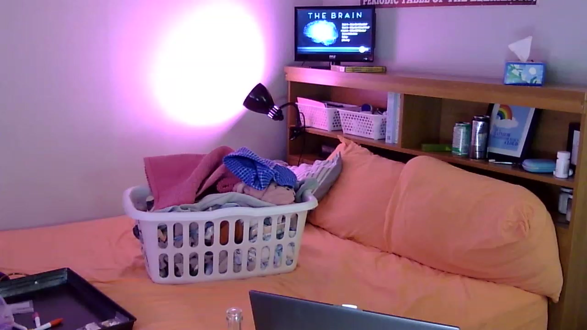 Gallery image thumbnail from antidreamgirl's myfreecams stream on, 07/06/2023, 07:42 image 11 of 20