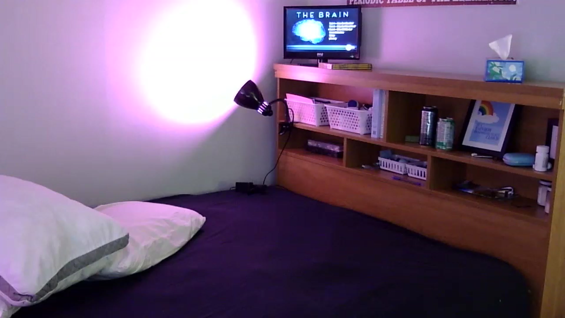 Gallery image thumbnail from antidreamgirl's myfreecams stream on, 07/06/2023, 07:42 image 18 of 20