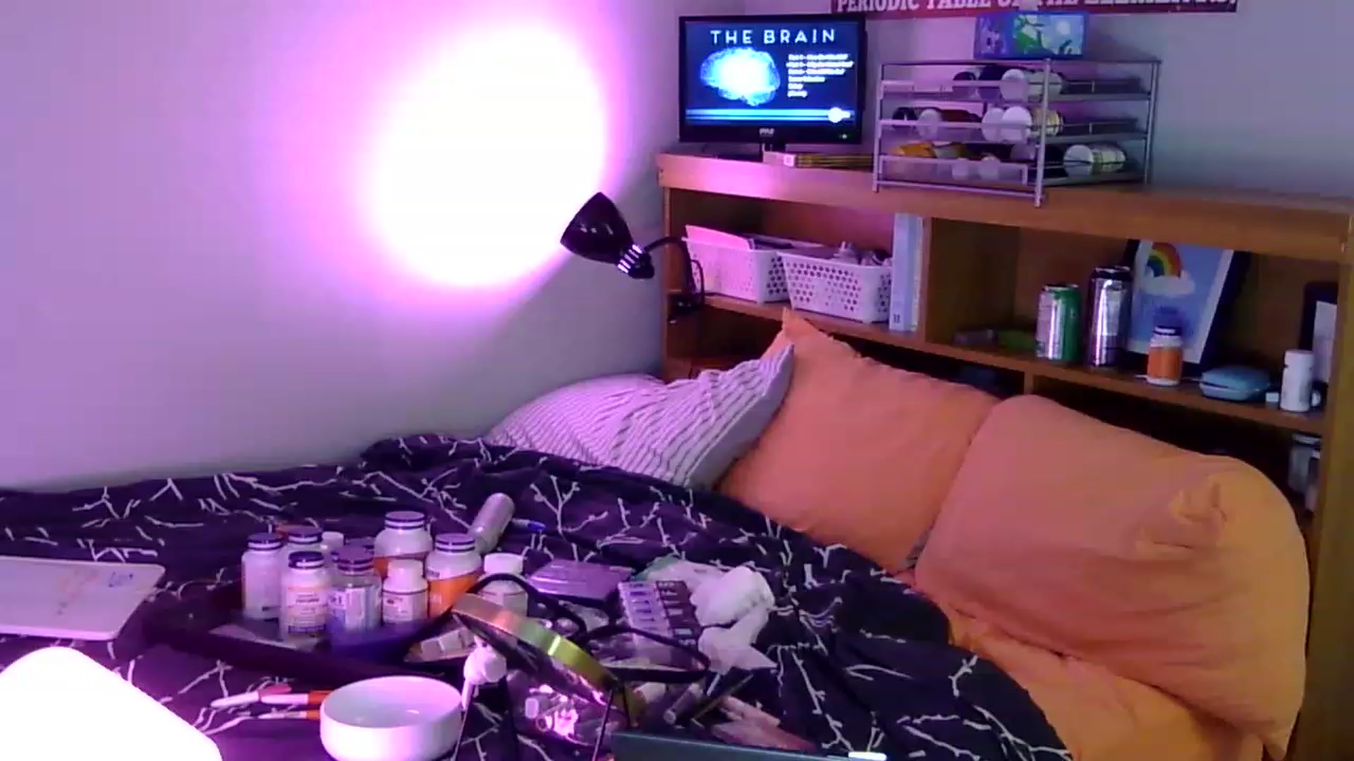 Gallery image thumbnail from antidreamgirl's myfreecams stream on, 07/06/2023, 07:42 image 4 of 20