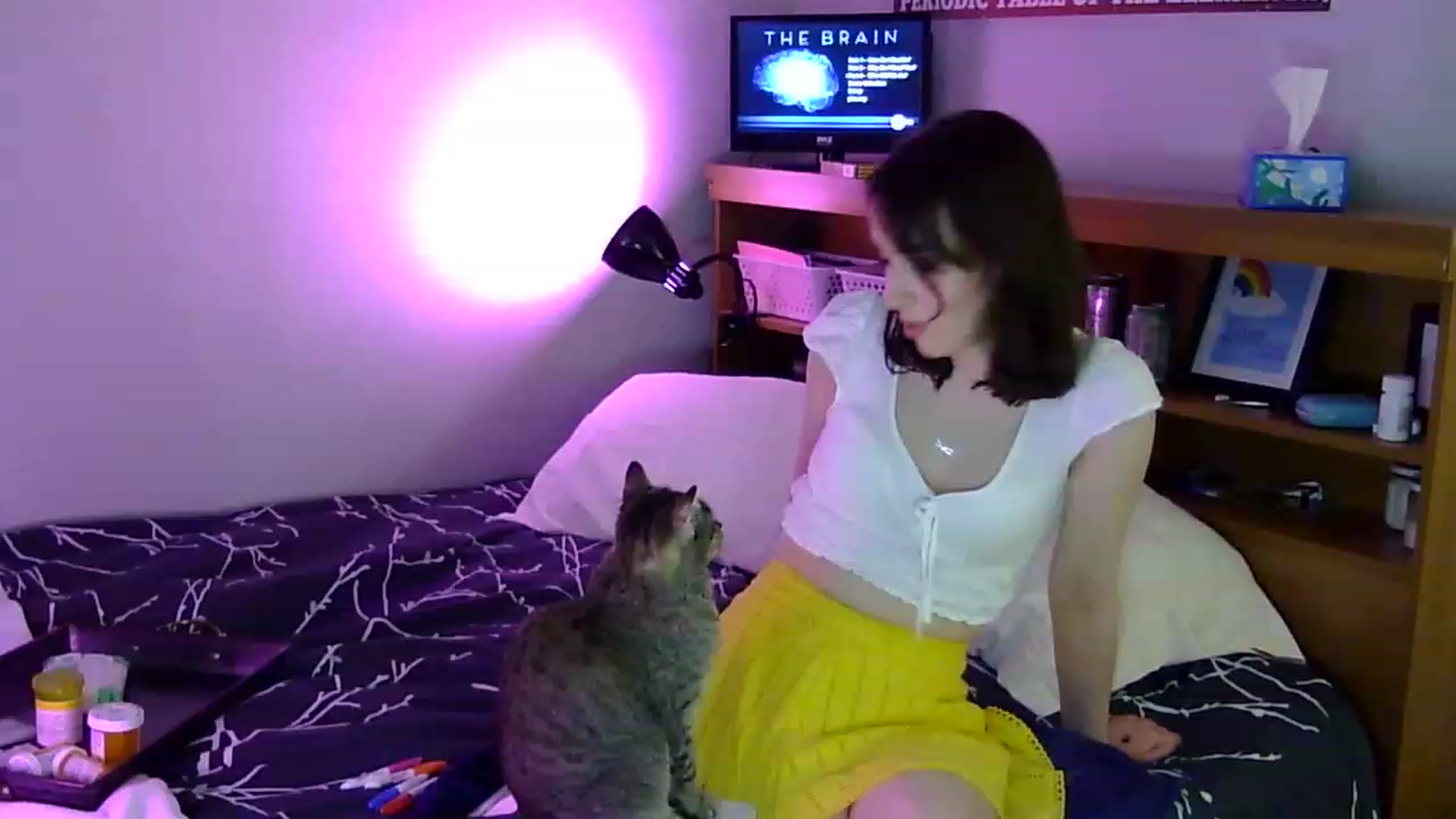 Gallery image thumbnail from antidreamgirl's myfreecams stream on, 07/06/2023, 10:16 image 1 of 20
