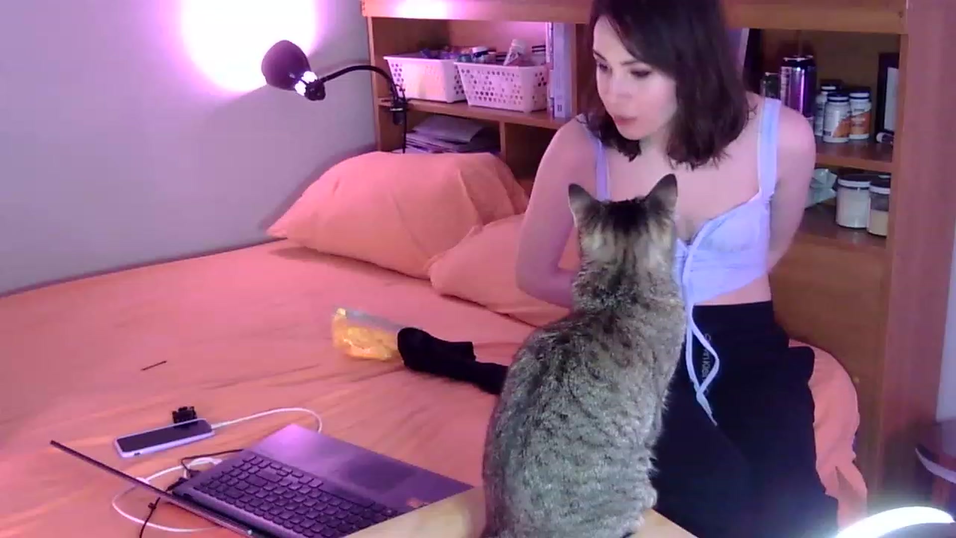 Gallery image thumbnail from antidreamgirl's myfreecams stream on, 08/21/2023, 07:48 image 19 of 20