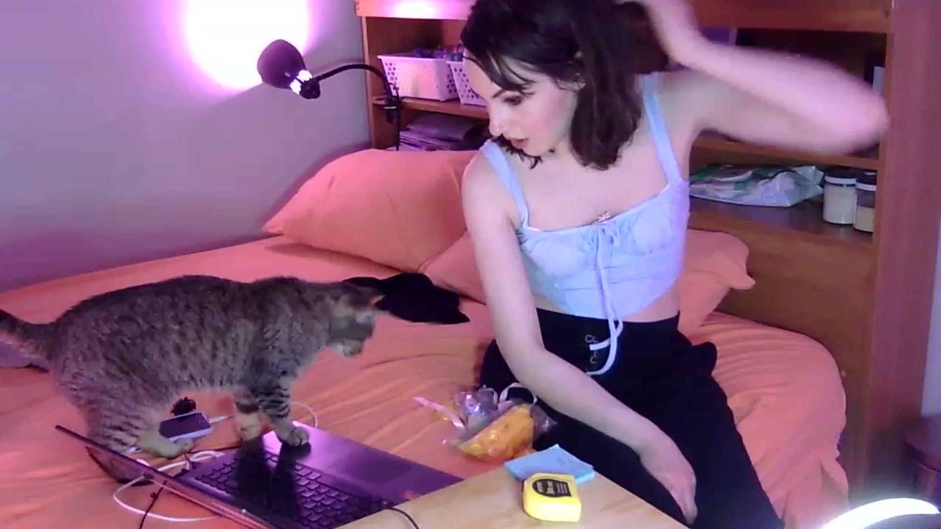 Gallery image thumbnail from antidreamgirl's myfreecams stream on, 08/21/2023, 07:48 image 14 of 20