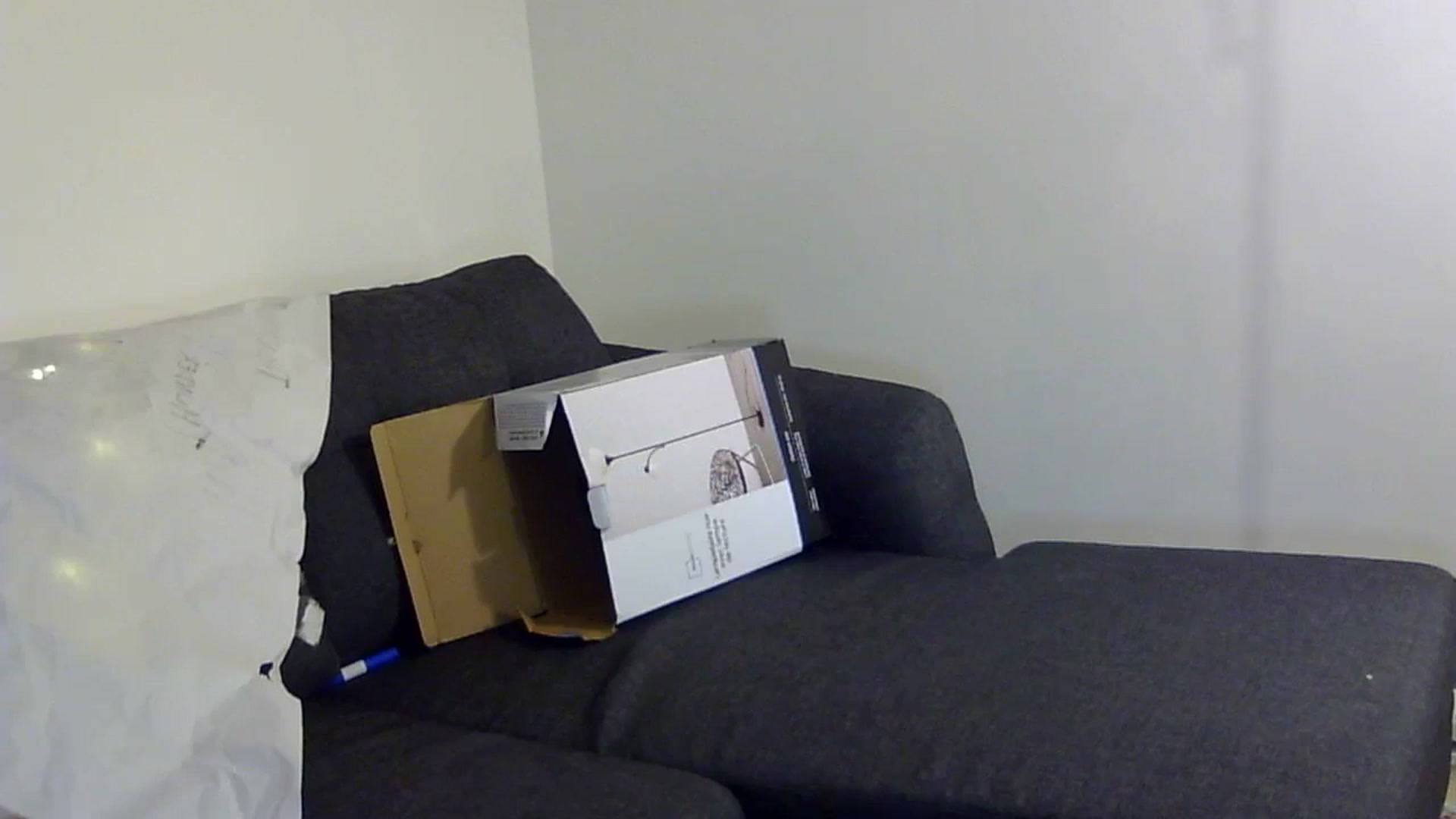 Gallery image thumbnail from antidreamgirl's myfreecams stream on, 11/09/2023, 08:48 image 20 of 20