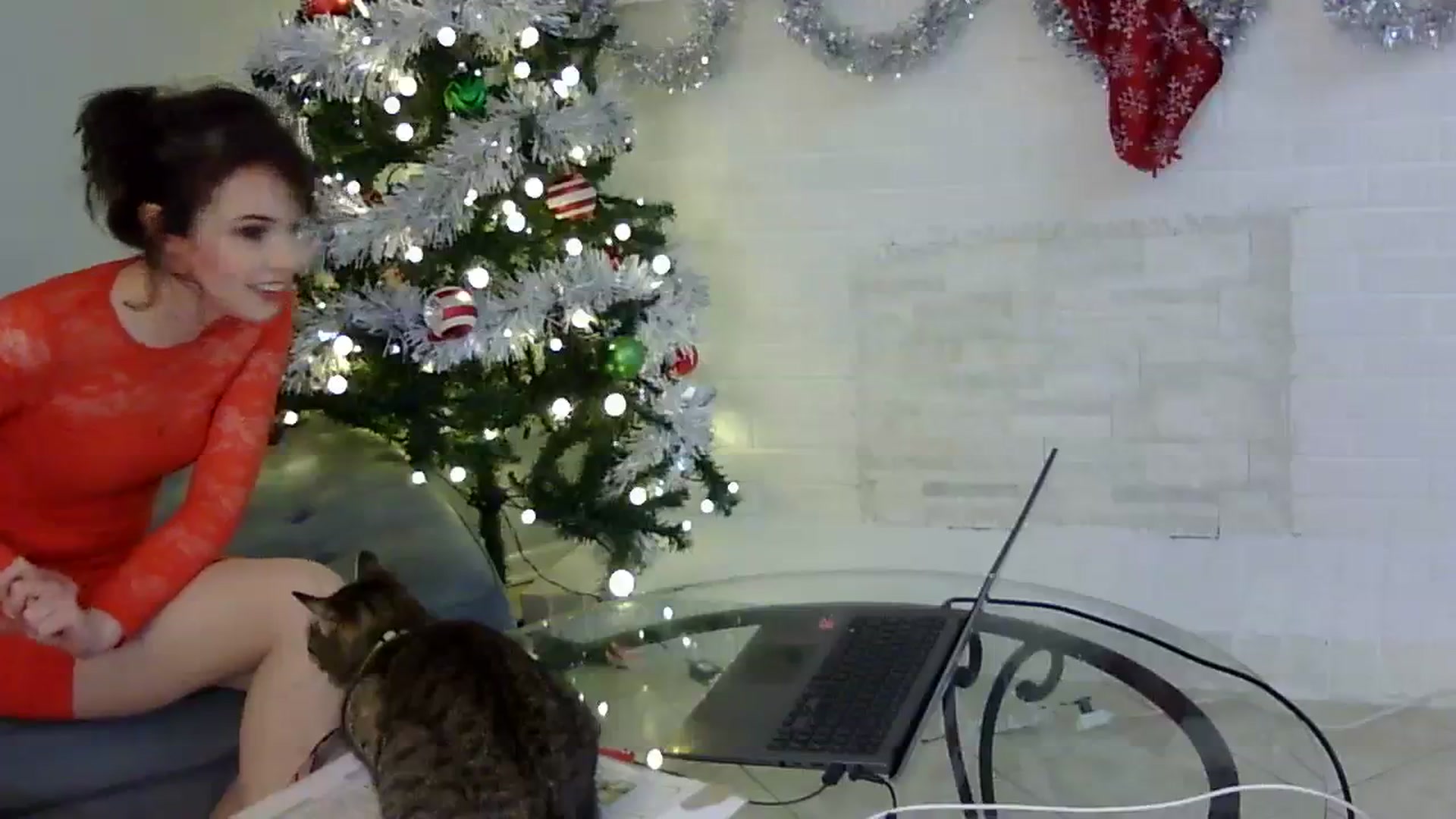 Gallery image thumbnail from antidreamgirl's myfreecams stream on, 12/25/2023, 09:13 image 14 of 20
