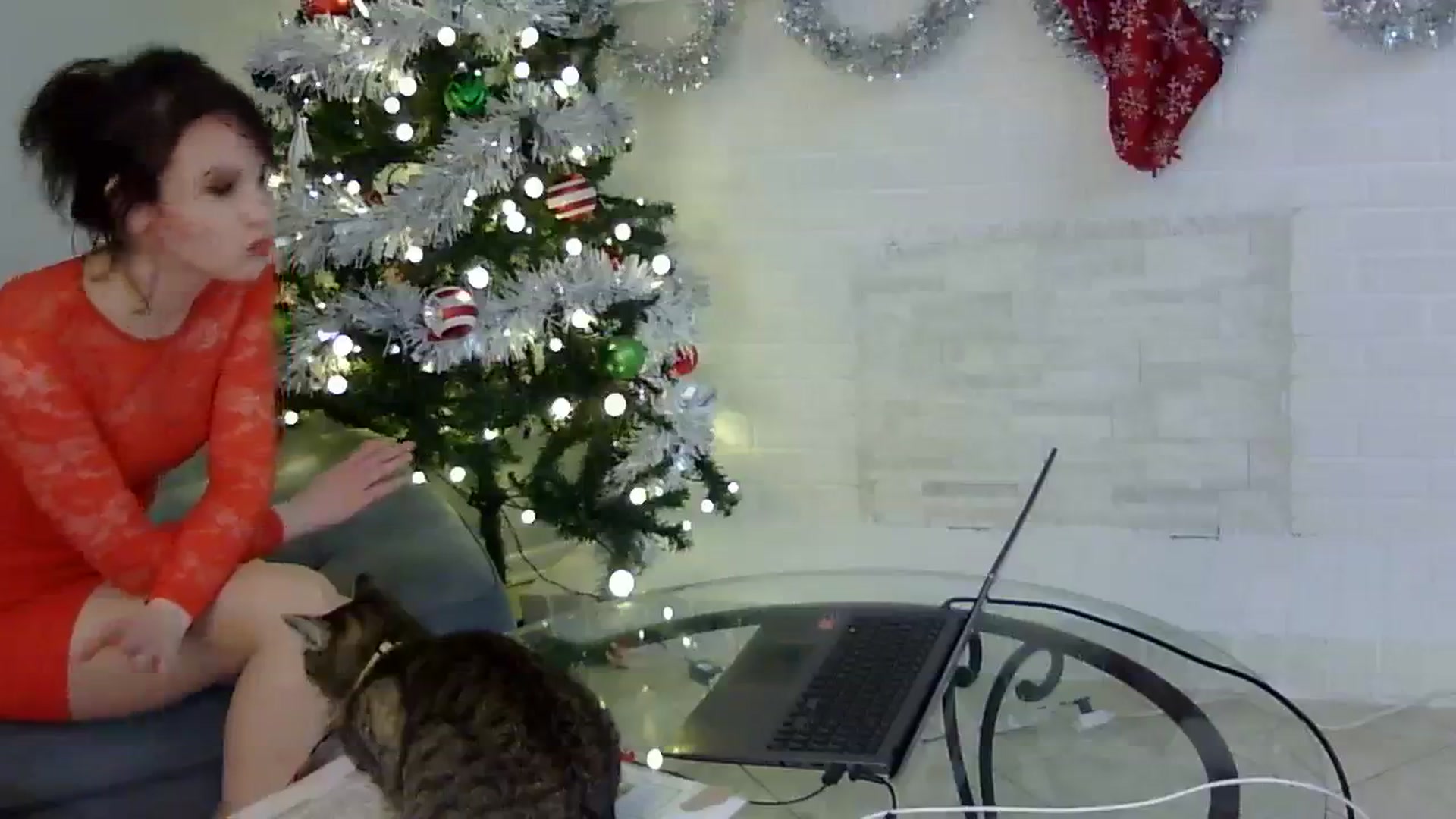 Gallery image thumbnail from antidreamgirl's myfreecams stream on, 12/25/2023, 09:13 image 13 of 20