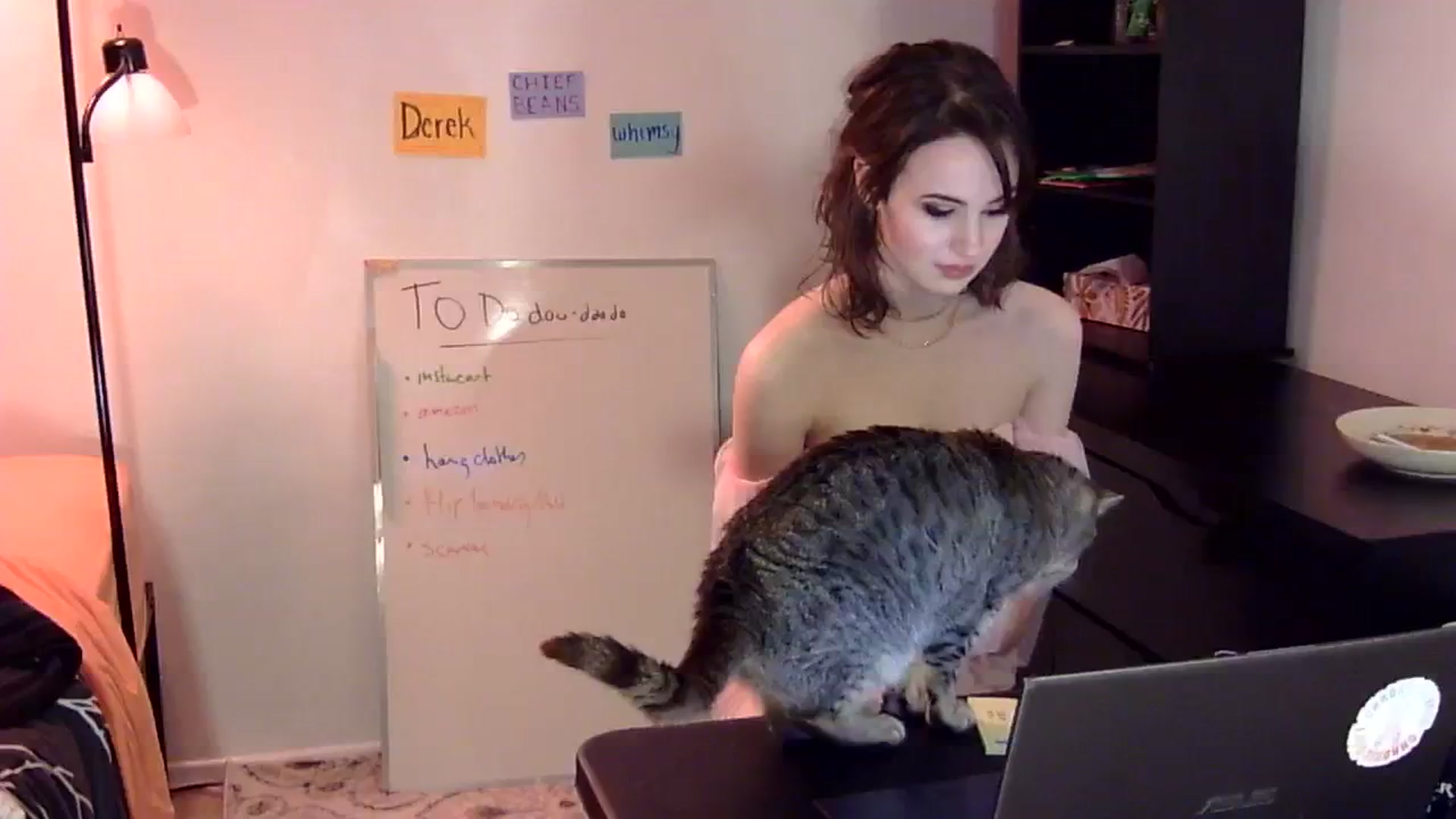 Gallery image thumbnail from antidreamgirl's myfreecams stream on, 01/11/2024, 15:58 image 20 of 20