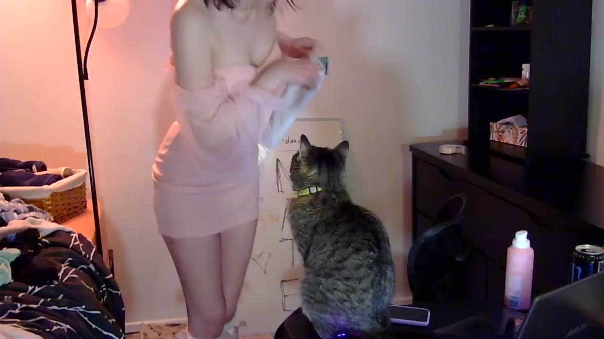 Gallery image thumbnail from antidreamgirl's myfreecams stream on, 01/11/2024, 19:55 image 14 of 20