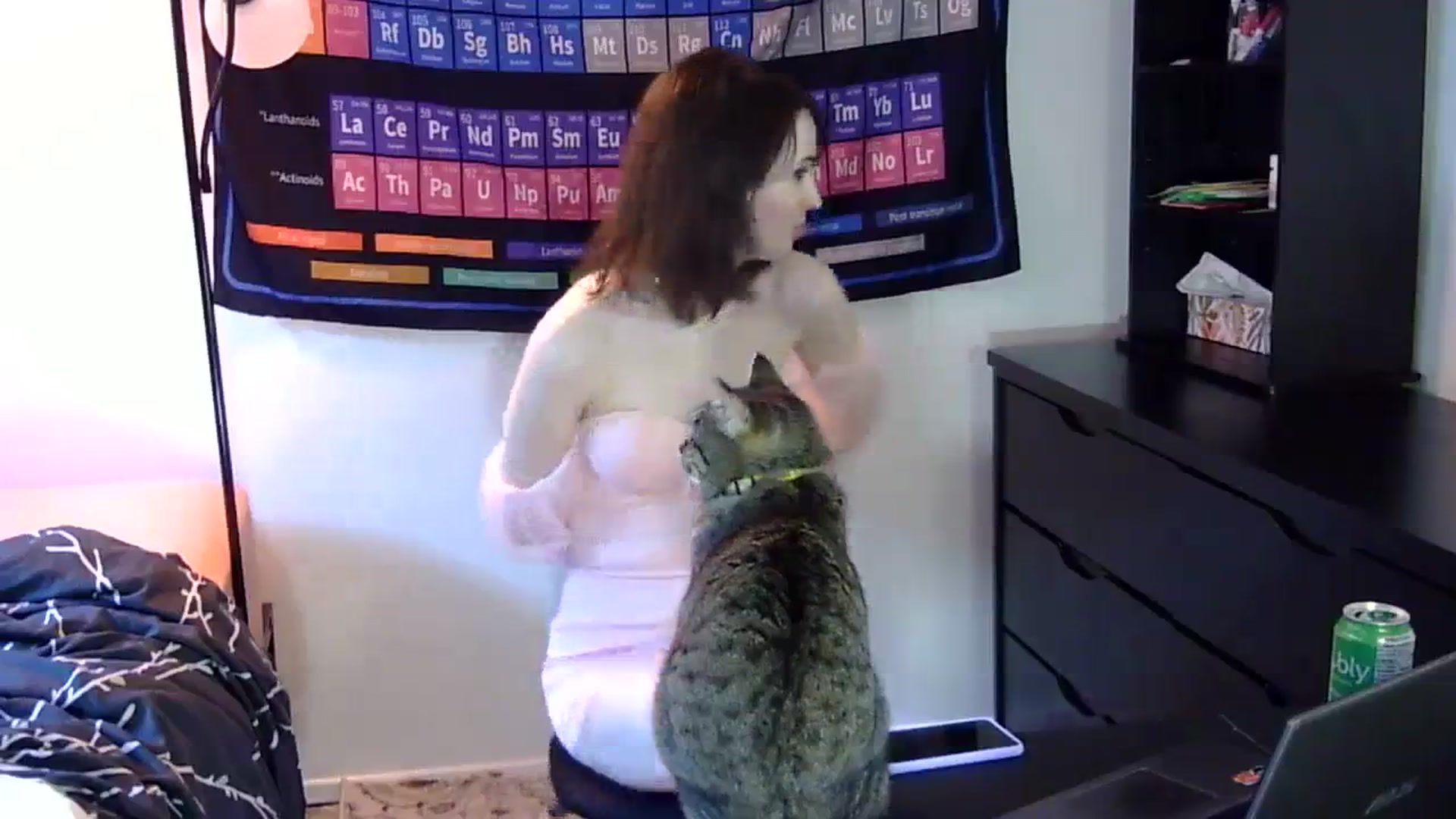 Gallery image thumbnail from antidreamgirl's myfreecams stream on, 01/11/2024, 19:55 image 20 of 20