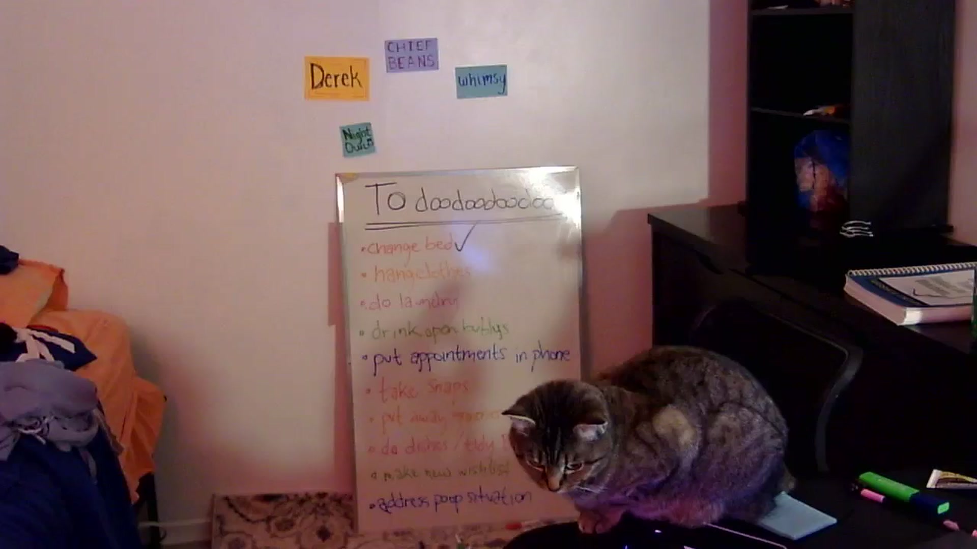 Gallery image thumbnail from antidreamgirl's myfreecams stream on, 01/20/2024, 17:35 image 3 of 20