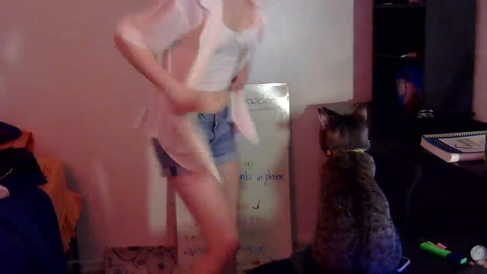 Gallery image thumbnail from antidreamgirl's myfreecams stream on, 01/20/2024, 17:35 image 2 of 20