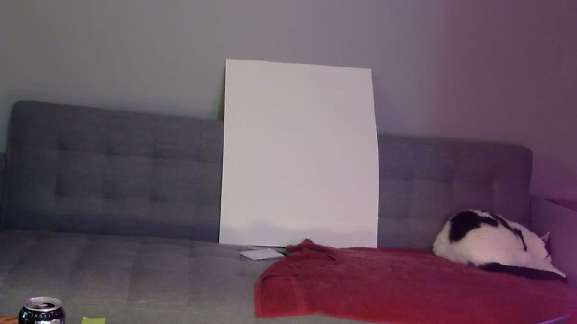 Gallery image thumbnail from antidreamgirl's myfreecams stream on, 01/25/2024, 05:30 image 9 of 20