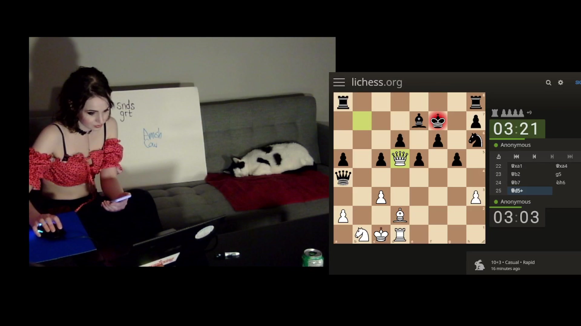 Gallery image thumbnail from antidreamgirl's myfreecams stream on, 02/01/2024, 07:27 image 13 of 20