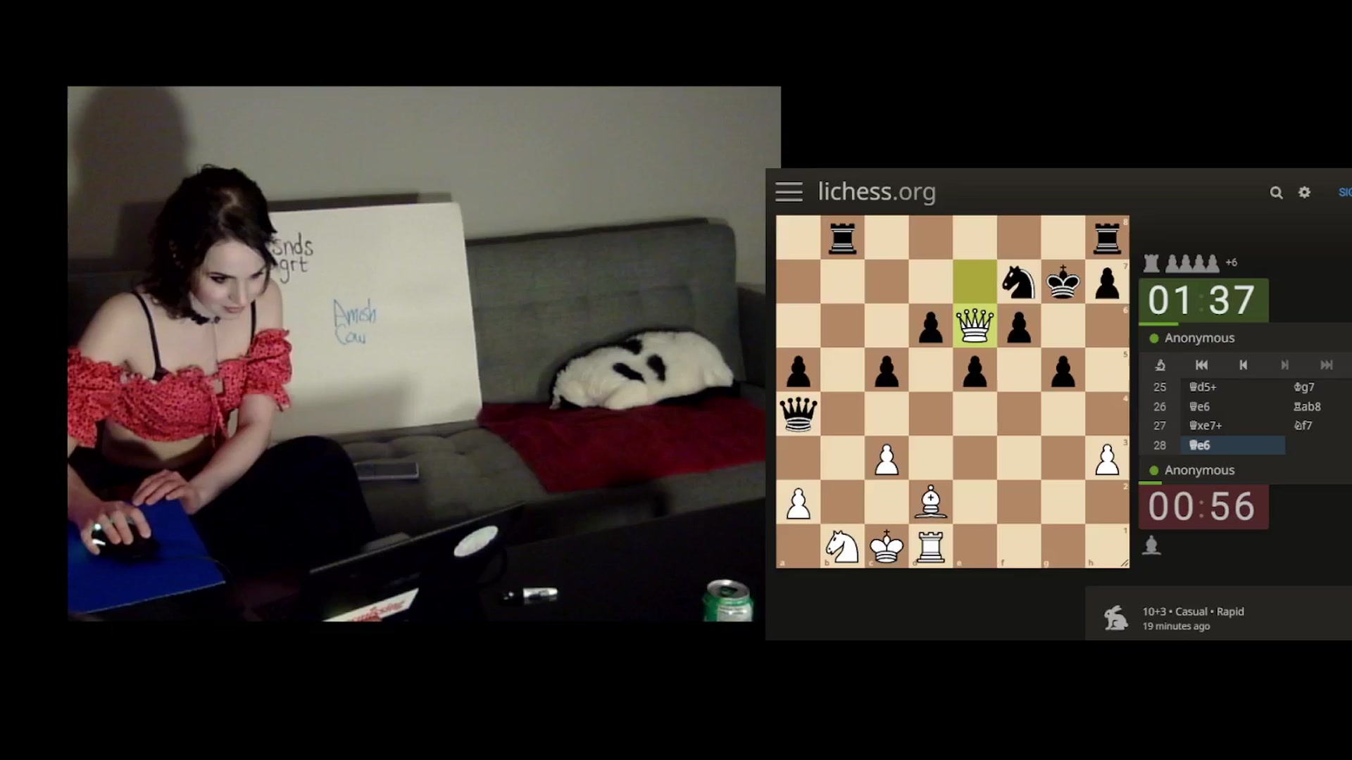 Gallery image thumbnail from antidreamgirl's myfreecams stream on, 02/01/2024, 07:27 image 17 of 20
