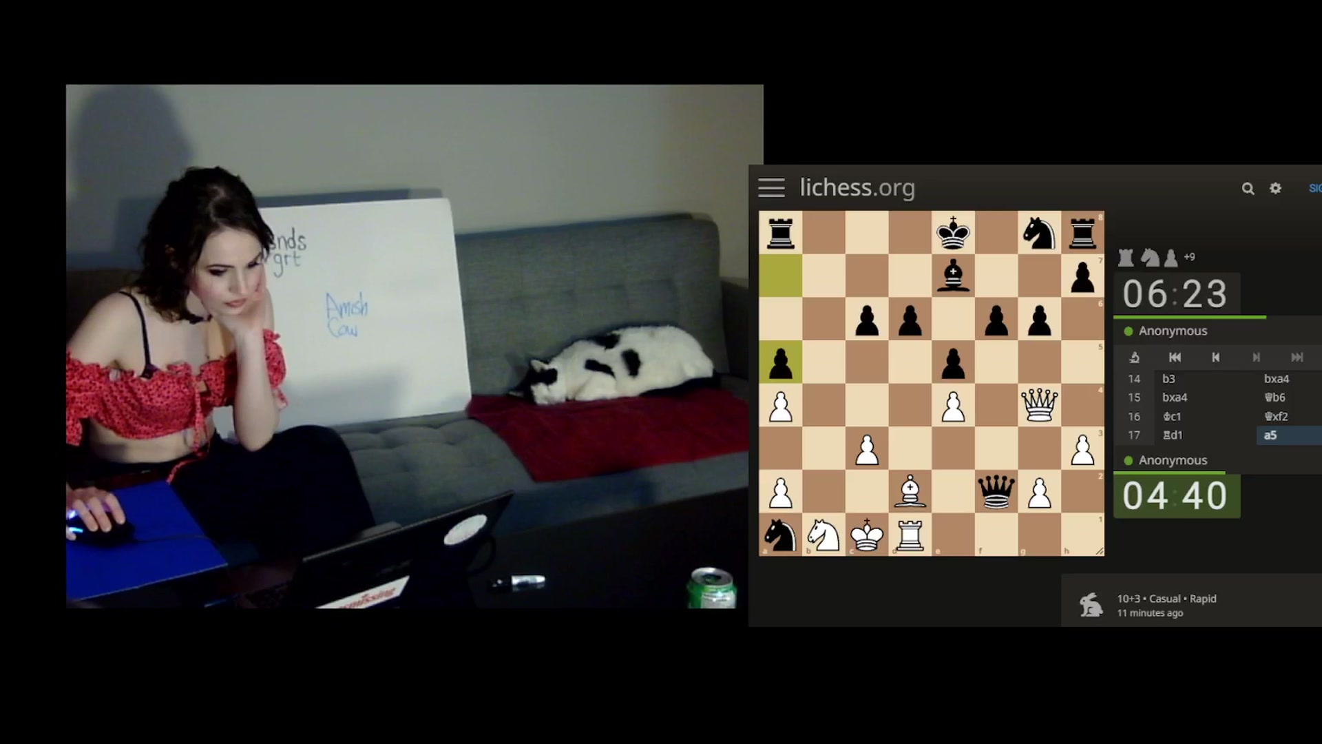 Gallery image thumbnail from antidreamgirl's myfreecams stream on, 02/01/2024, 07:27 image 8 of 20