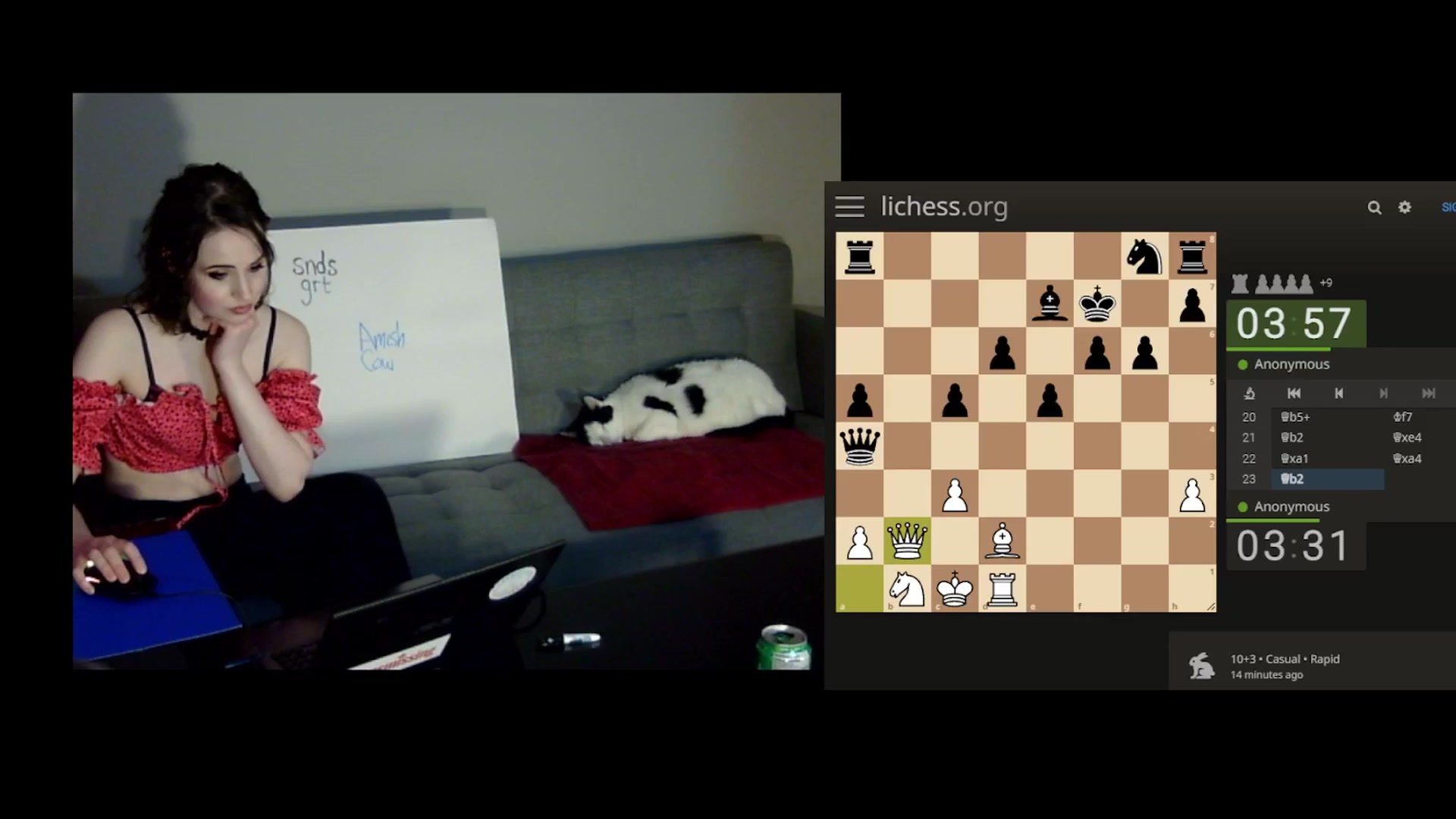 Gallery image thumbnail from antidreamgirl's myfreecams stream on, 02/01/2024, 07:27 image 12 of 20