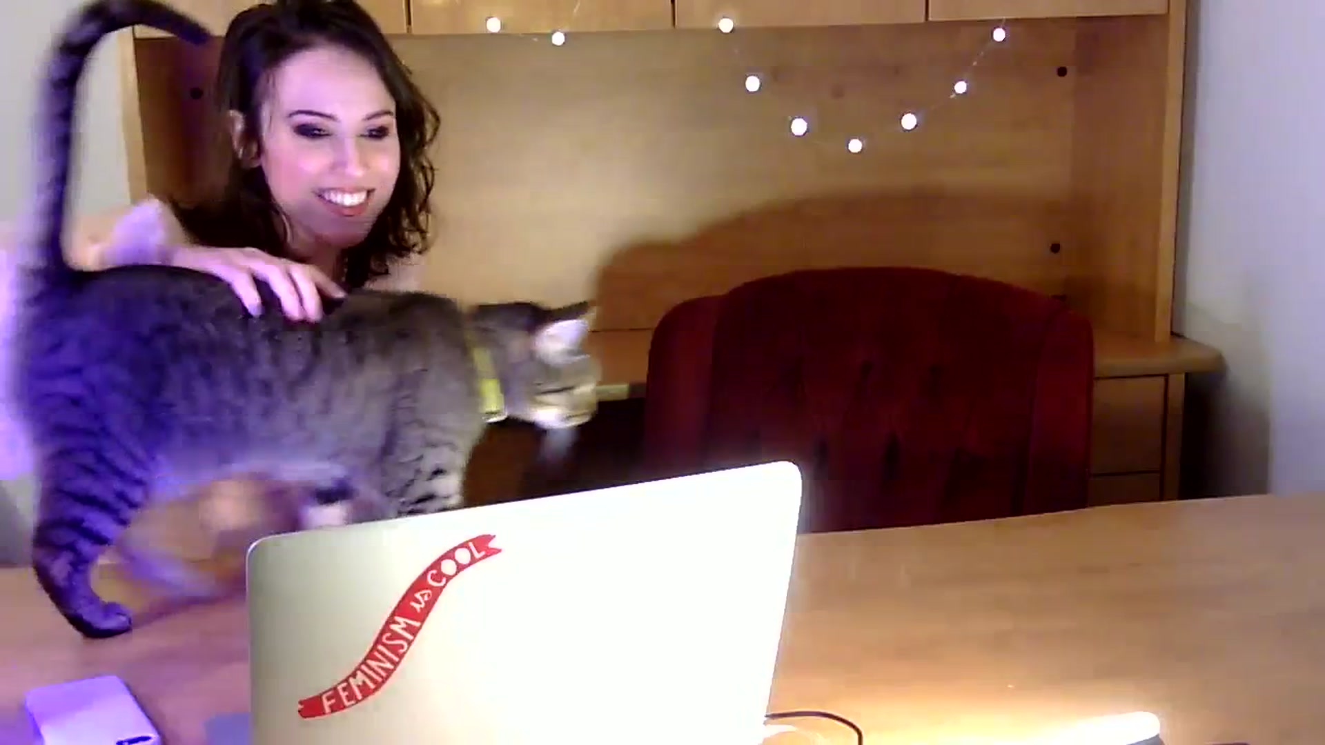 Gallery image thumbnail from antidreamgirl's myfreecams stream on, 02/15/2024, 09:47 image 20 of 20