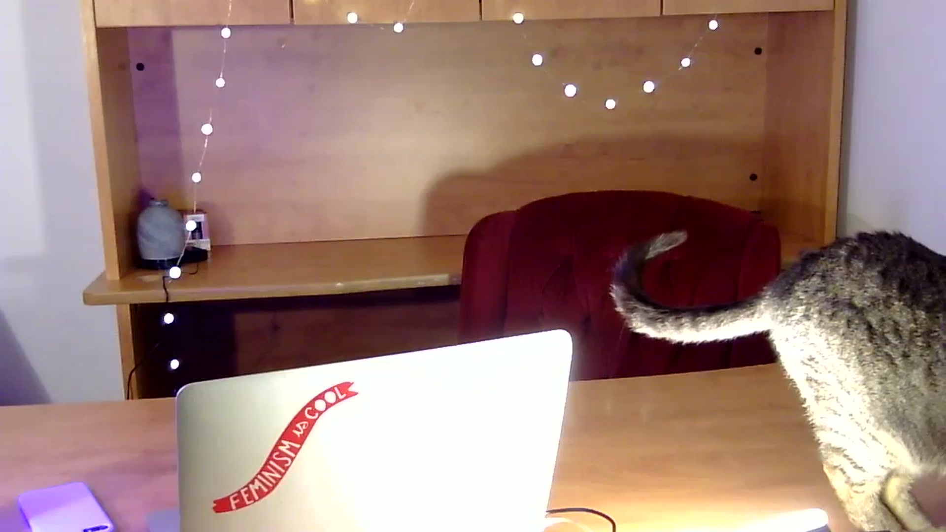 Gallery image thumbnail from antidreamgirl's myfreecams stream on, 02/15/2024, 09:47 image 19 of 20