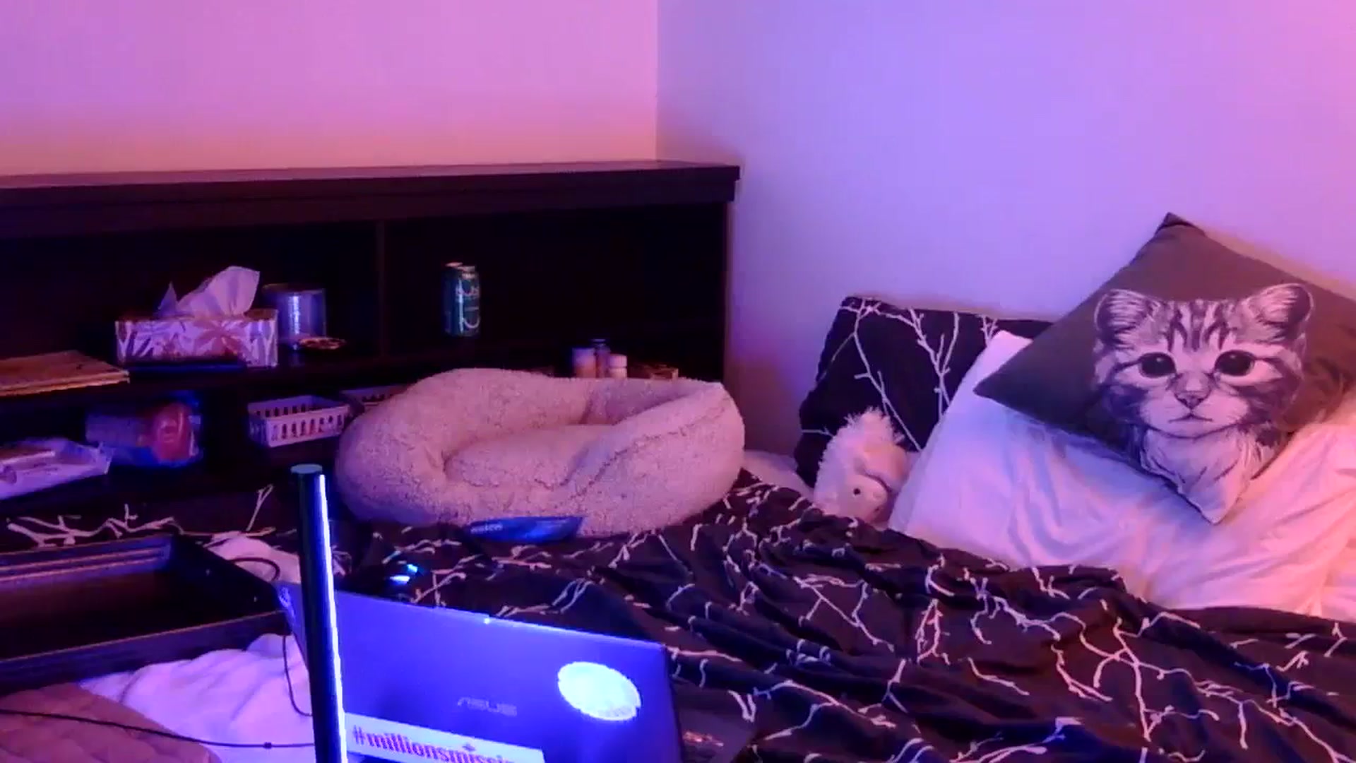 Gallery image thumbnail from antidreamgirl's myfreecams stream on, 02/22/2024, 23:17 image 17 of 20