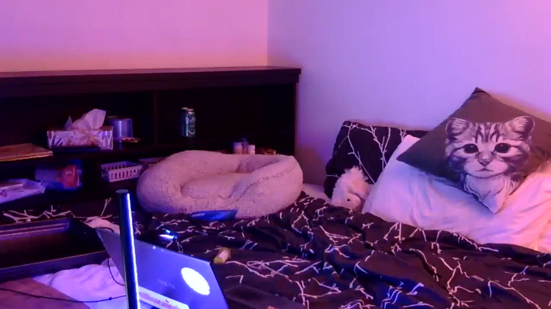 Gallery image thumbnail from antidreamgirl's myfreecams stream on, 02/22/2024, 23:17 image 19 of 20