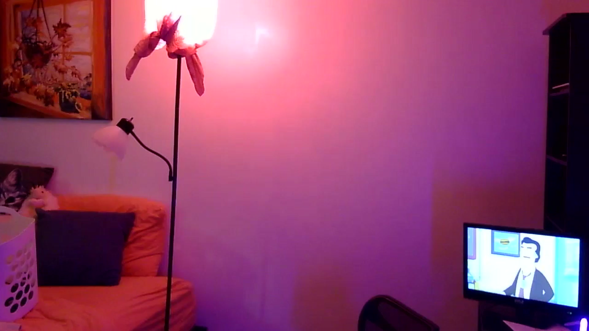 Gallery image thumbnail from antidreamgirl's myfreecams stream on, 02/27/2024, 07:25 image 15 of 20