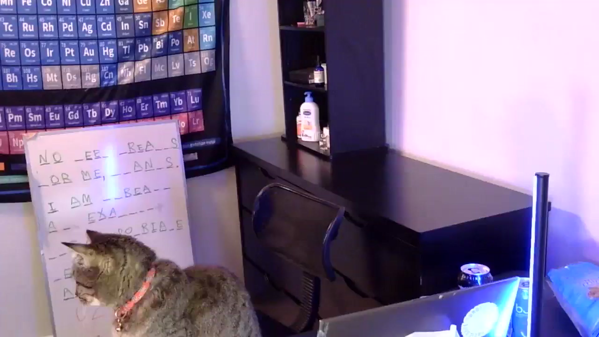 Gallery image thumbnail from antidreamgirl's myfreecams stream on, 03/12/2024, 04:29 image 3 of 20