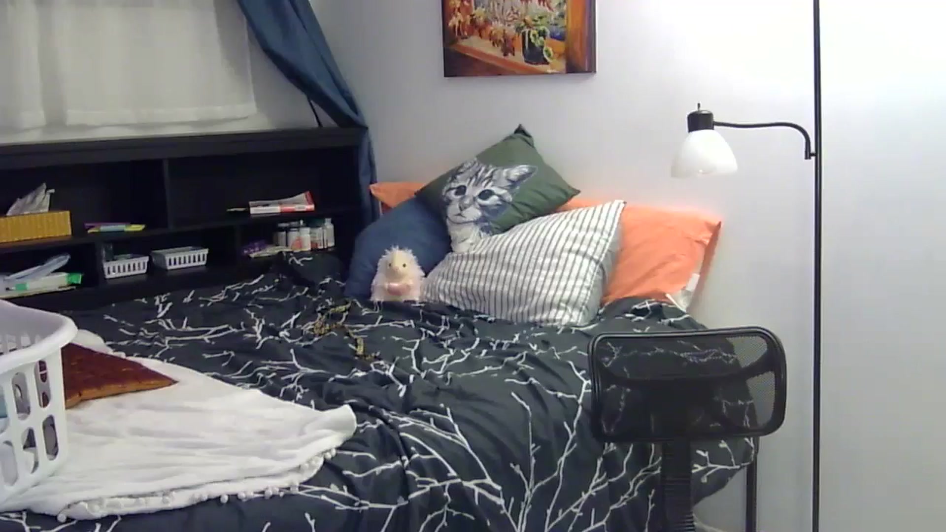 Gallery image thumbnail from antidreamgirl's myfreecams stream on, 04/09/2024, 04:37 image 3 of 20