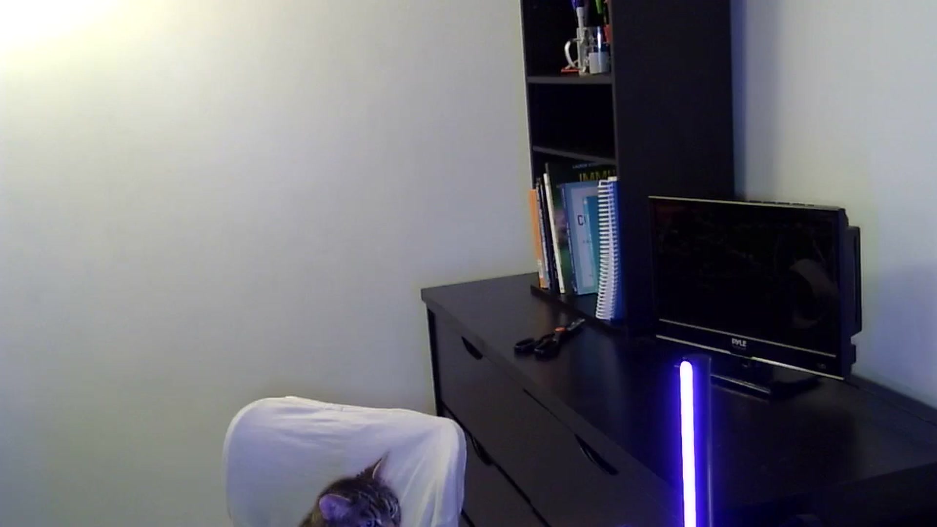 Gallery image thumbnail from antidreamgirl's myfreecams stream on, 04/16/2024, 02:05 image 18 of 20