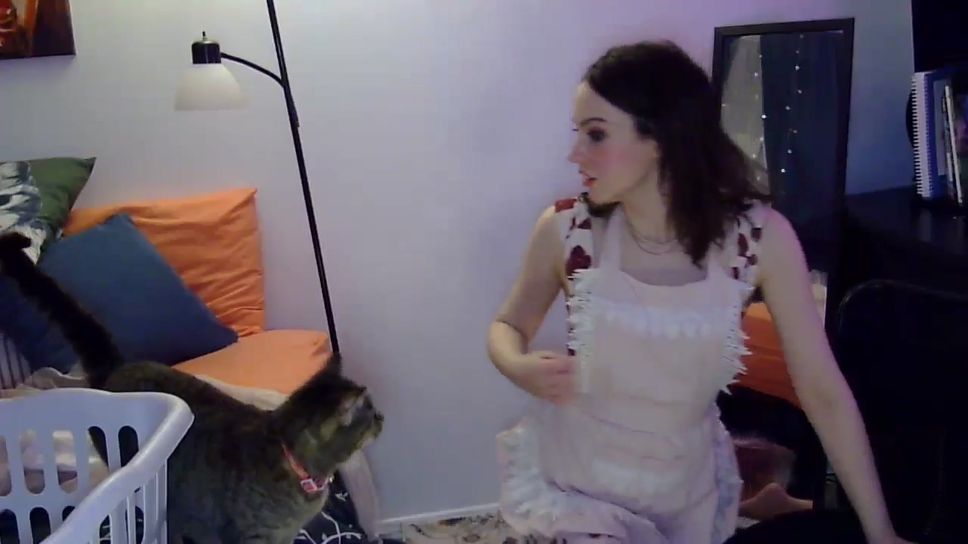 Gallery image thumbnail from antidreamgirl's myfreecams stream on, 05/02/2024, 05:35 image 17 of 20