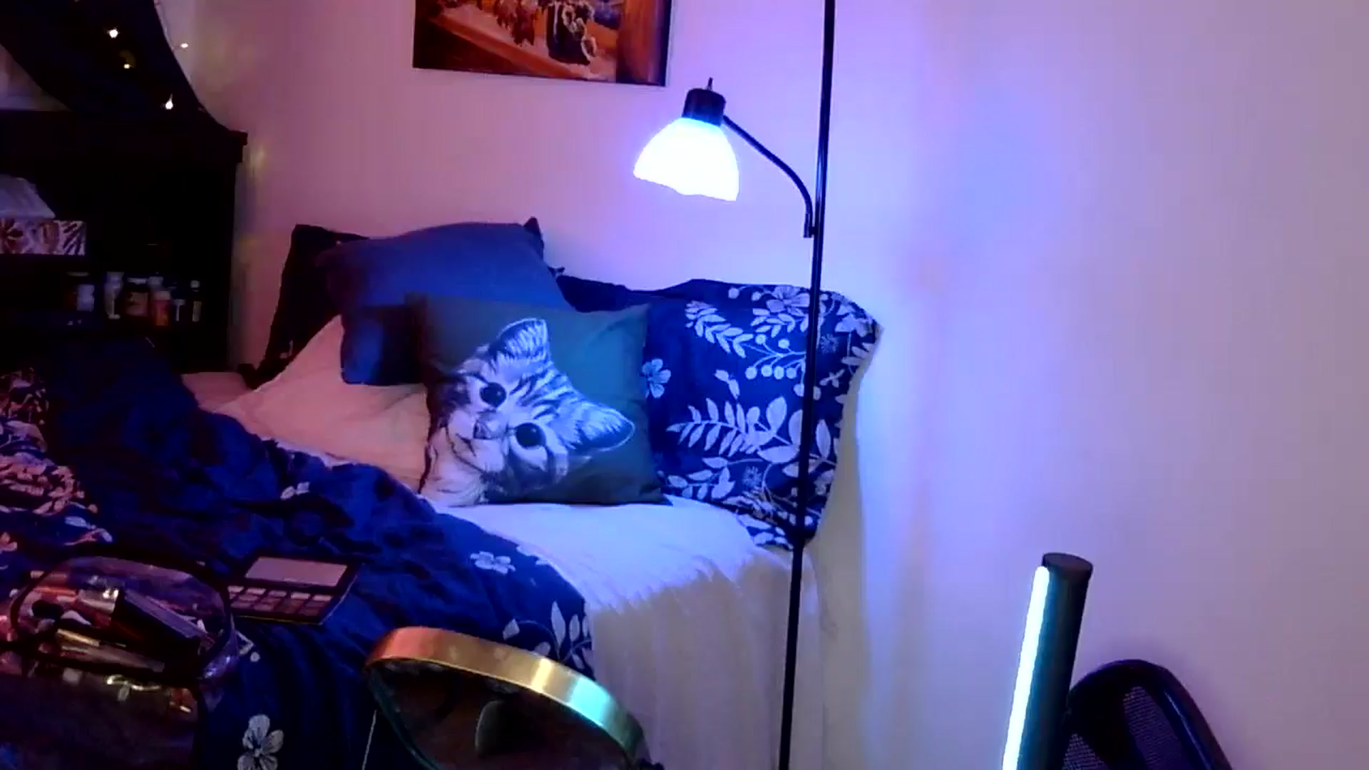 Gallery image thumbnail from antidreamgirl's myfreecams stream on, 05/08/2024, 07:33 image 13 of 20