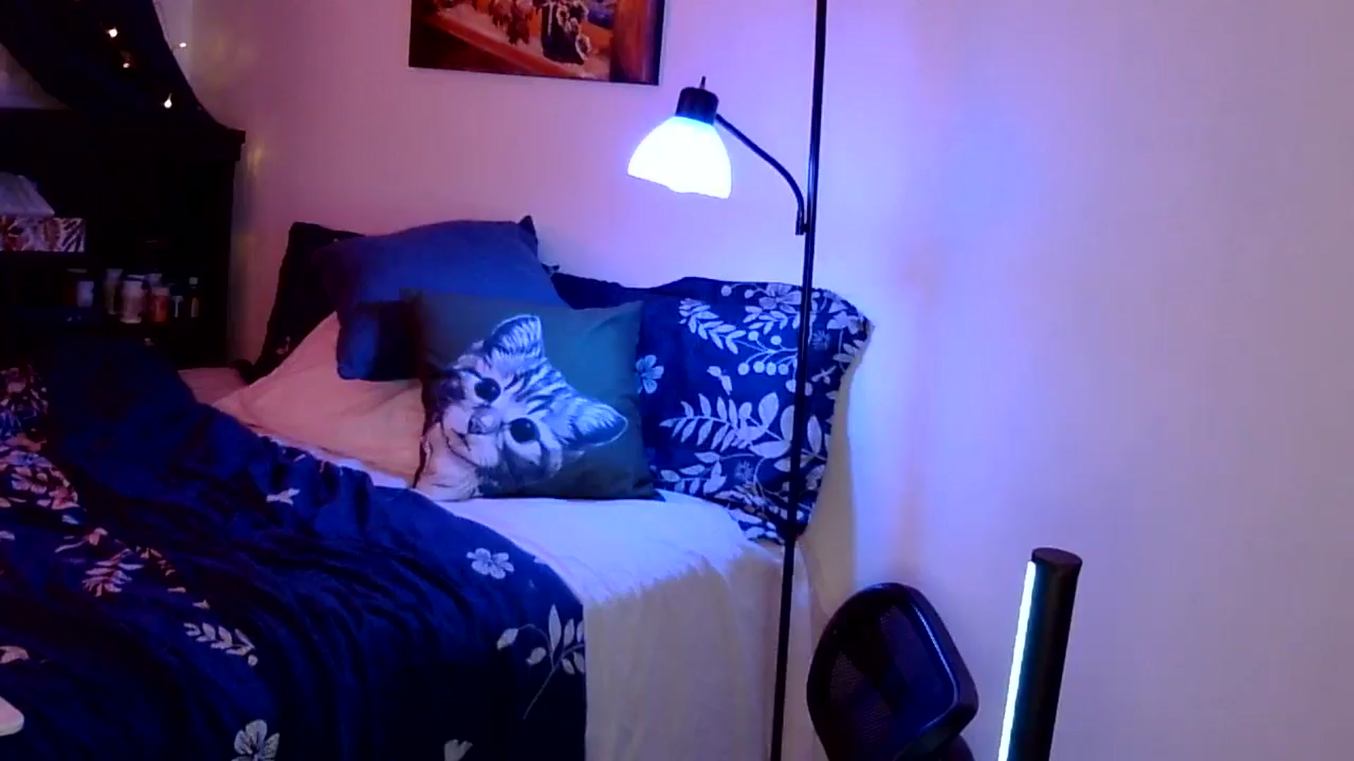 Gallery image thumbnail from antidreamgirl's myfreecams stream on, 05/08/2024, 07:33 image 16 of 20