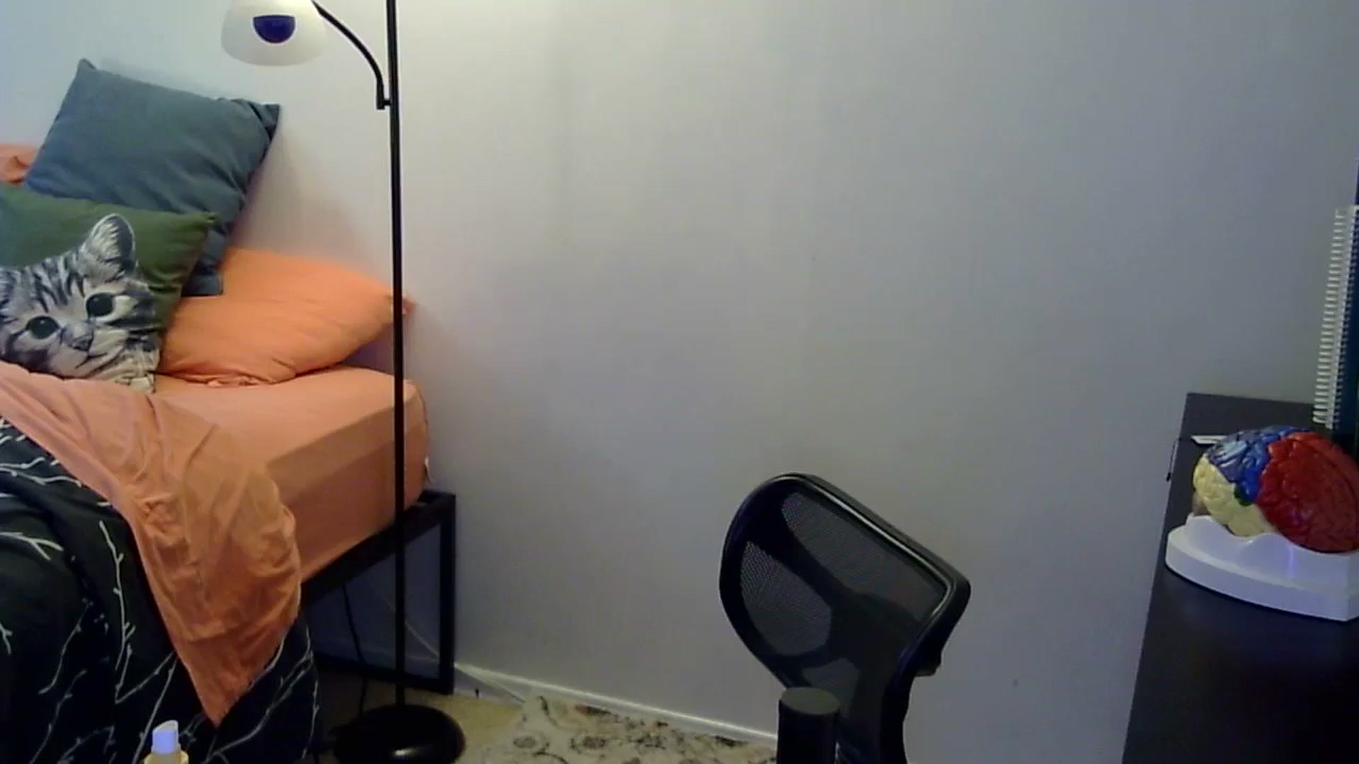 Gallery image thumbnail from antidreamgirl's myfreecams stream on, 05/17/2024, 19:54 image 1 of 20