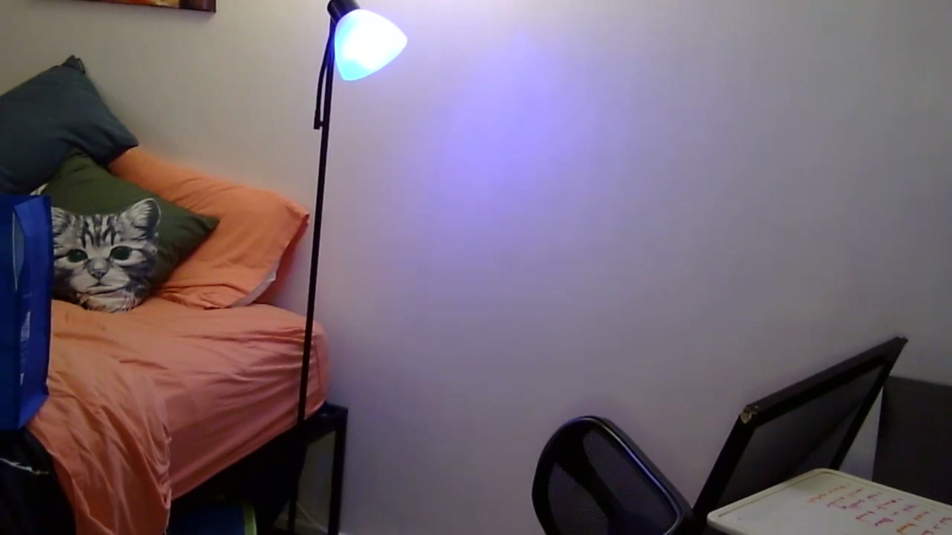 Gallery image thumbnail from antidreamgirl's myfreecams stream on, 05/25/2024, 04:05 image 6 of 20