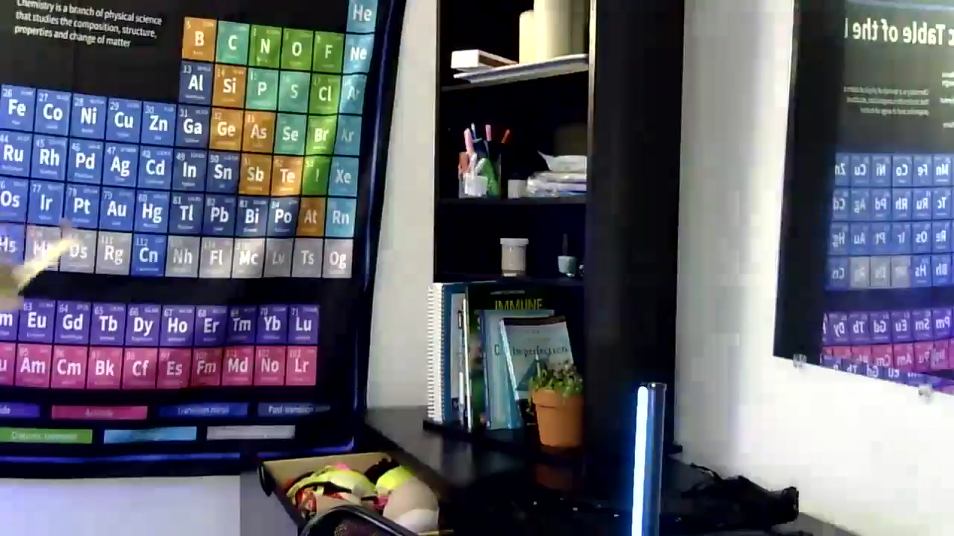 Gallery image thumbnail from antidreamgirl's myfreecams stream on, 05/29/2024, 04:08 image 14 of 20