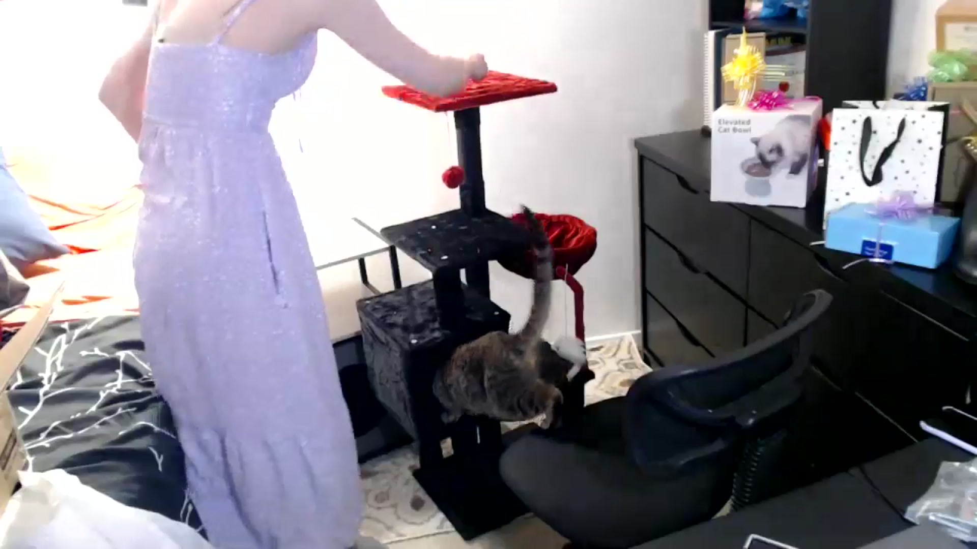 Gallery image thumbnail from antidreamgirl's myfreecams stream on, 06/12/2024, 24:49 image 5 of 20
