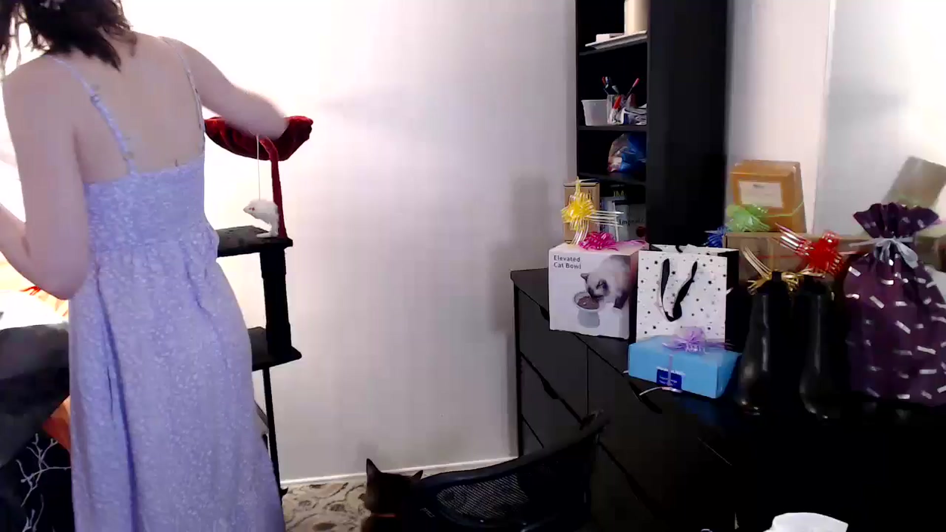Gallery image thumbnail from antidreamgirl's myfreecams stream on, 06/12/2024, 24:49 image 3 of 20