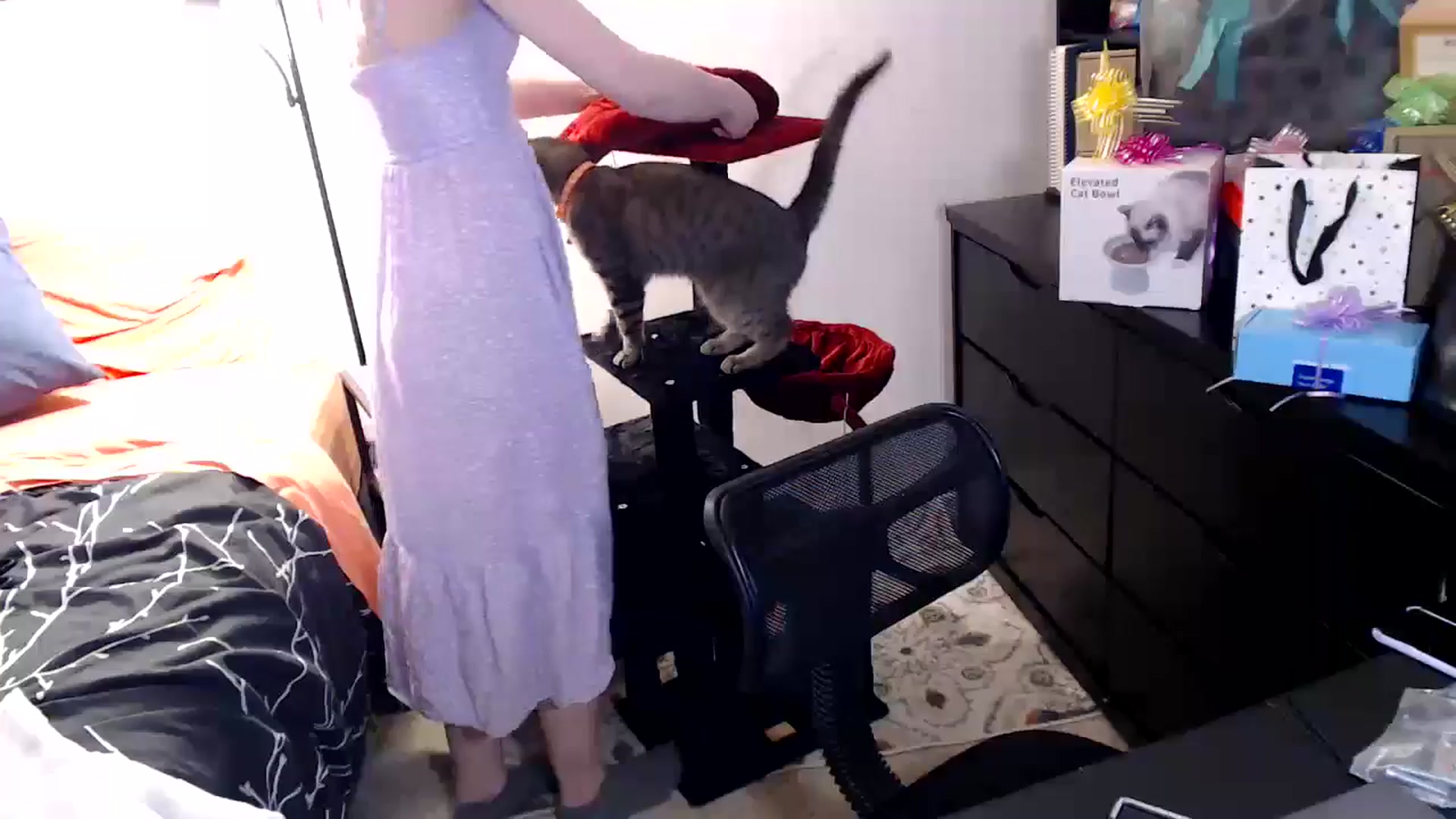 Gallery image thumbnail from antidreamgirl's myfreecams stream on, 06/12/2024, 24:49 image 6 of 20