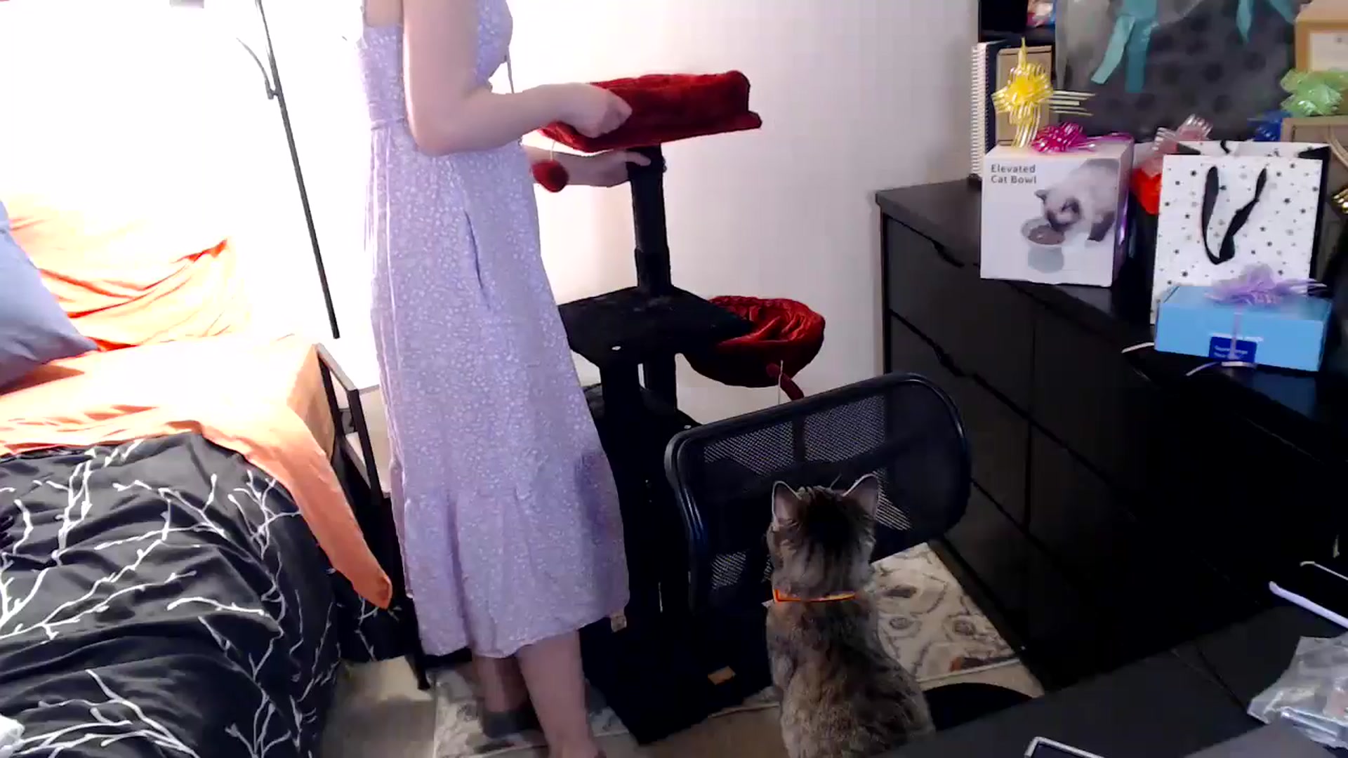 Gallery image thumbnail from antidreamgirl's myfreecams stream on, 06/12/2024, 24:49 image 7 of 20