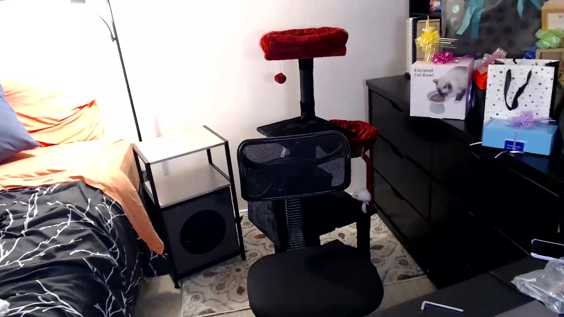 Gallery image thumbnail from antidreamgirl's myfreecams stream on, 06/12/2024, 24:49 image 11 of 20