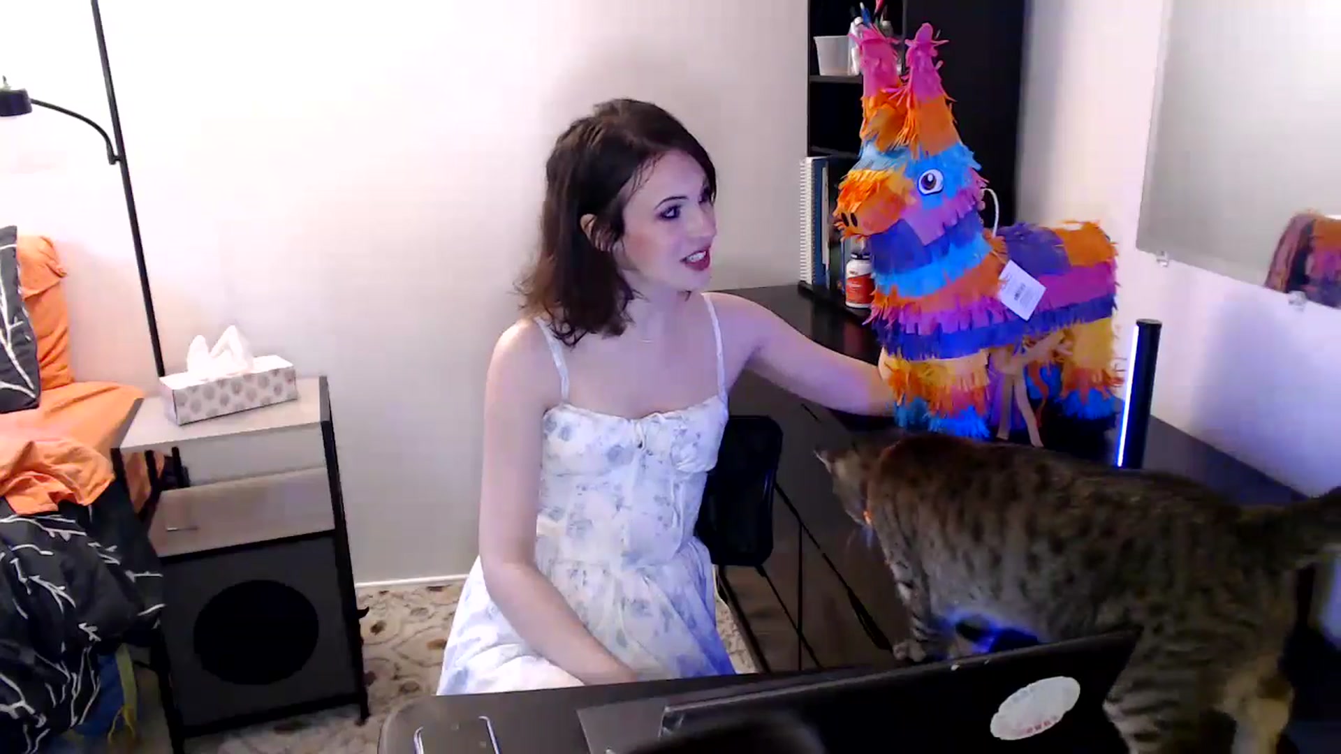 Gallery image thumbnail from antidreamgirl's myfreecams stream on, 06/13/2024, 24:18 image 4 of 20