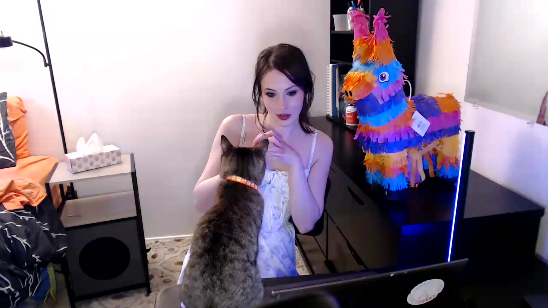 Gallery image thumbnail from antidreamgirl's myfreecams stream on, 06/13/2024, 24:18 image 14 of 20