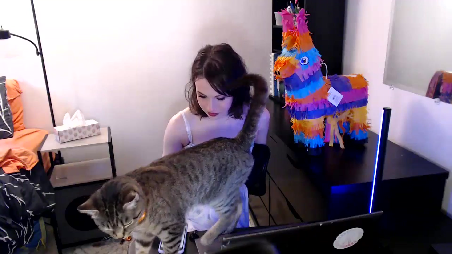 Gallery image thumbnail from antidreamgirl's myfreecams stream on, 06/13/2024, 24:18 image 5 of 20