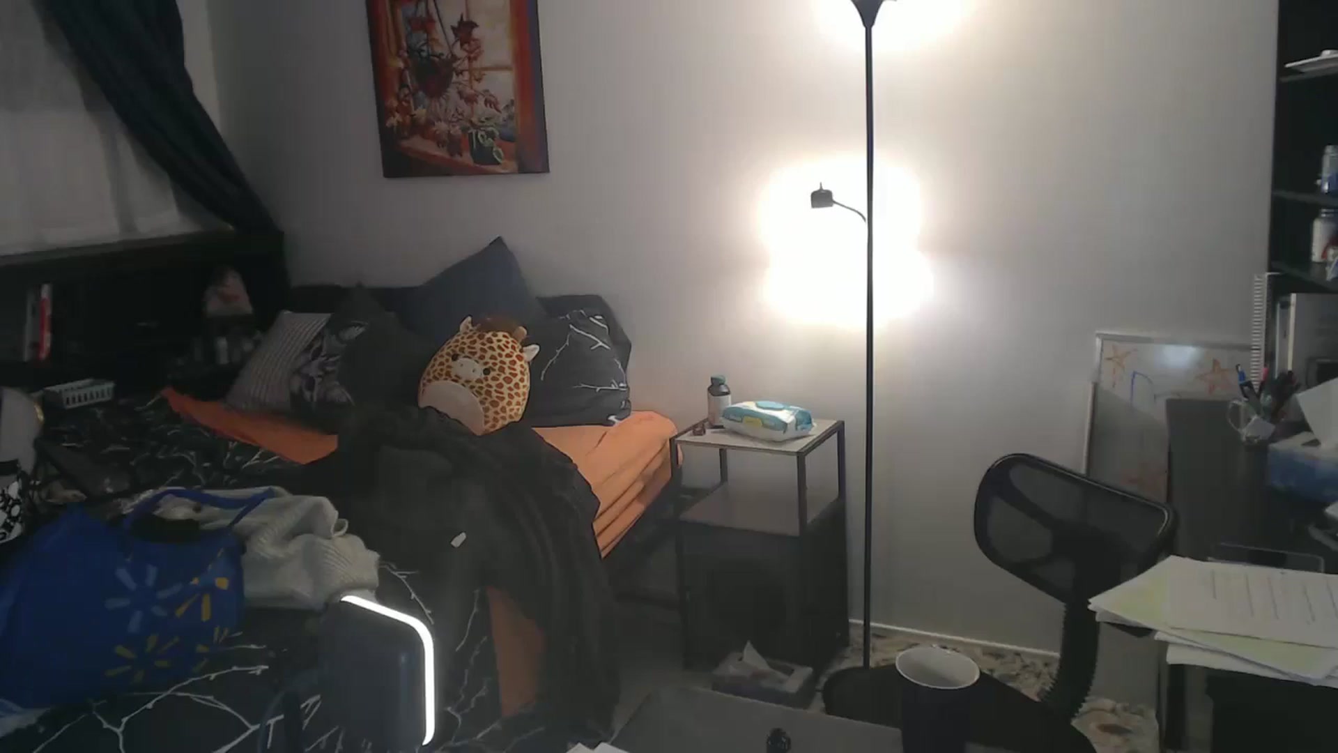 Gallery image thumbnail from antidreamgirl's myfreecams stream on, 07/26/2024, 03:18 image 7 of 20