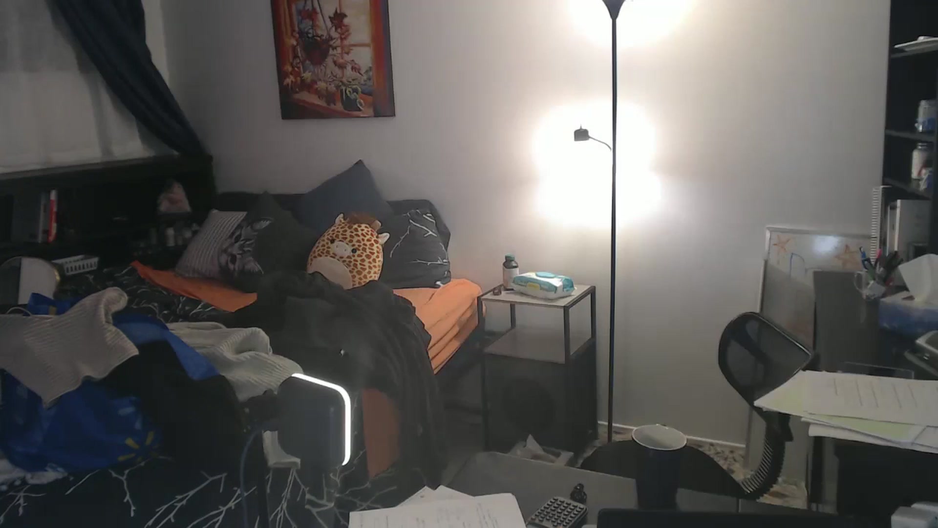 Gallery image thumbnail from antidreamgirl's myfreecams stream on, 07/26/2024, 03:18 image 6 of 20