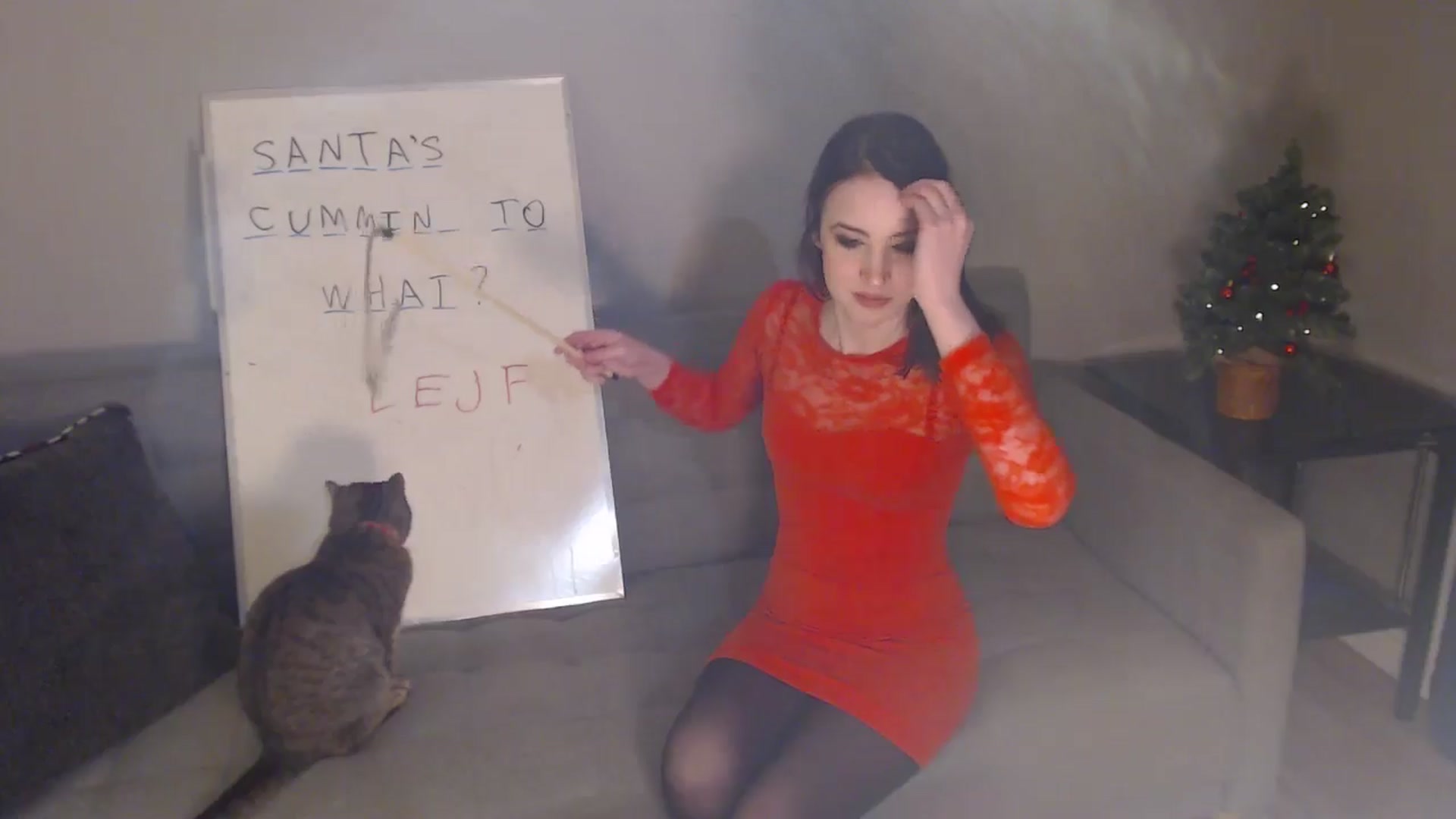 Gallery image thumbnail from antidreamgirl's myfreecams stream on, 12/02/2024, 03:56 image 12 of 20