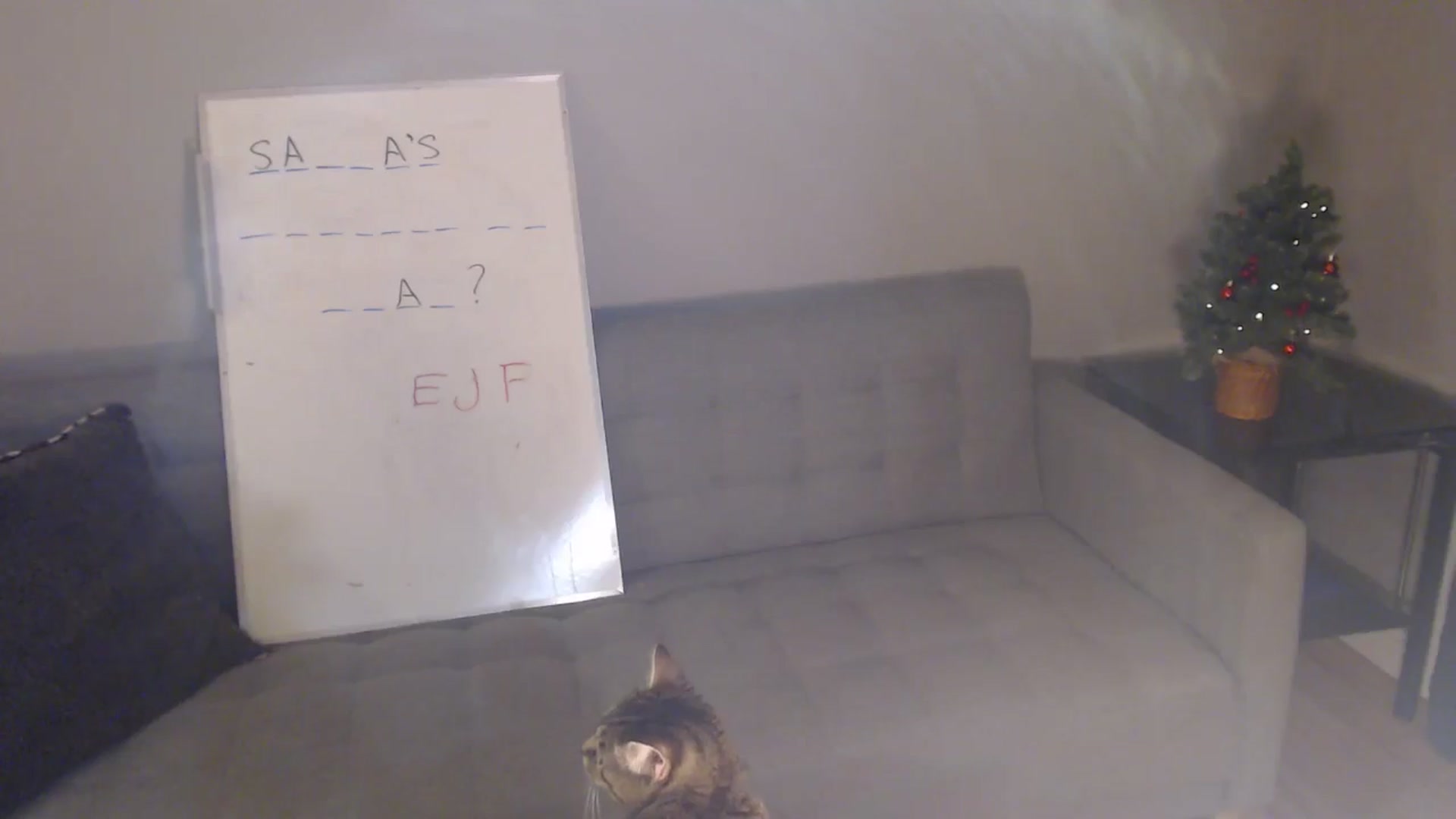 Gallery image thumbnail from antidreamgirl's myfreecams stream on, 12/02/2024, 03:56 image 3 of 20