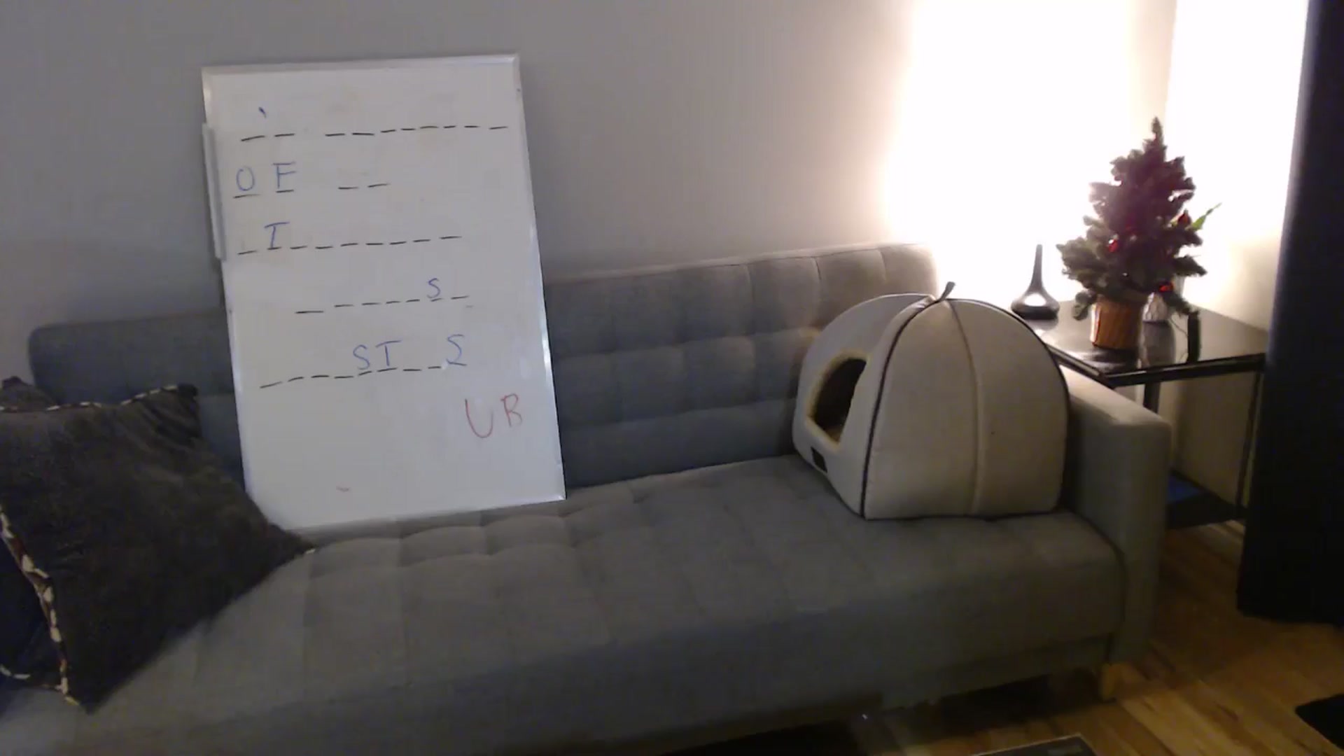 Gallery image thumbnail from antidreamgirl's myfreecams stream on, 12/04/2024, 01:26 image 2 of 20