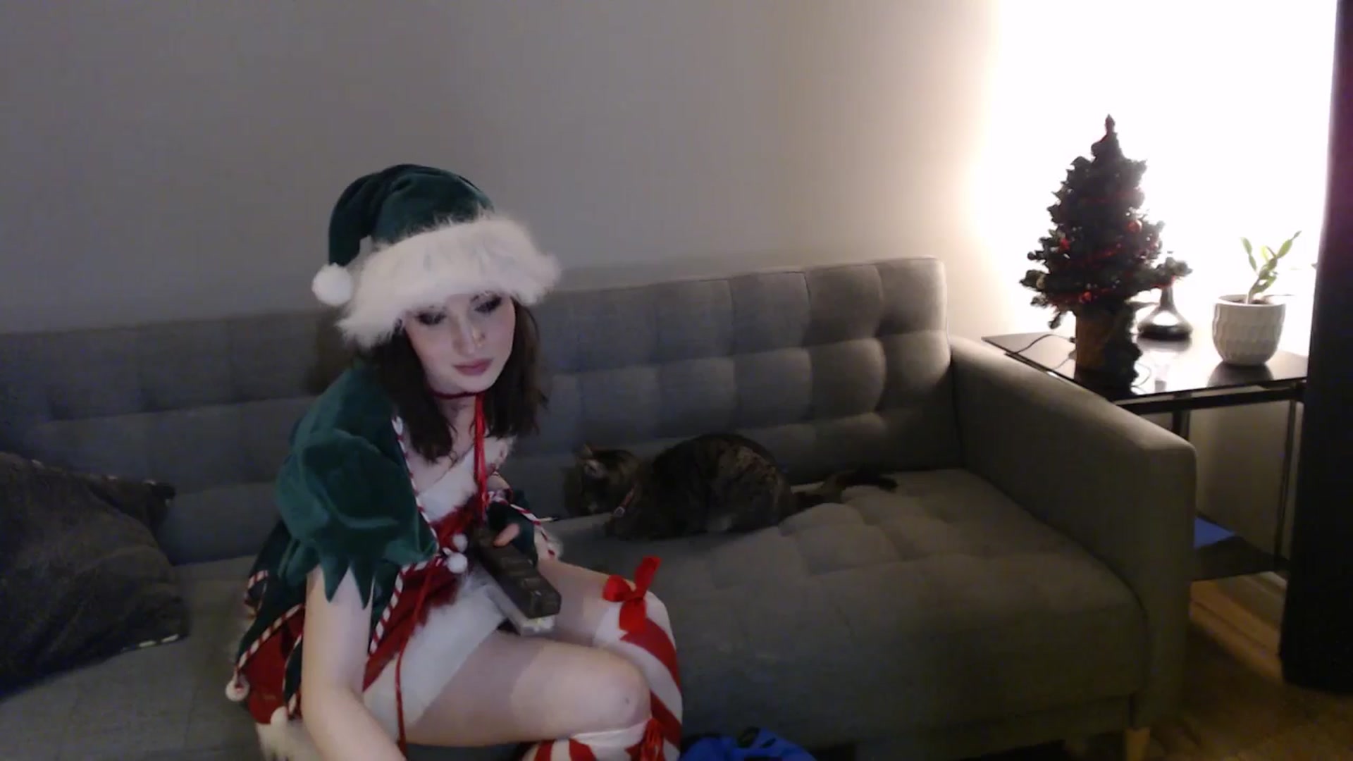 Gallery image thumbnail from antidreamgirl's myfreecams stream on, 12/10/2024, 06:36 image 2 of 20